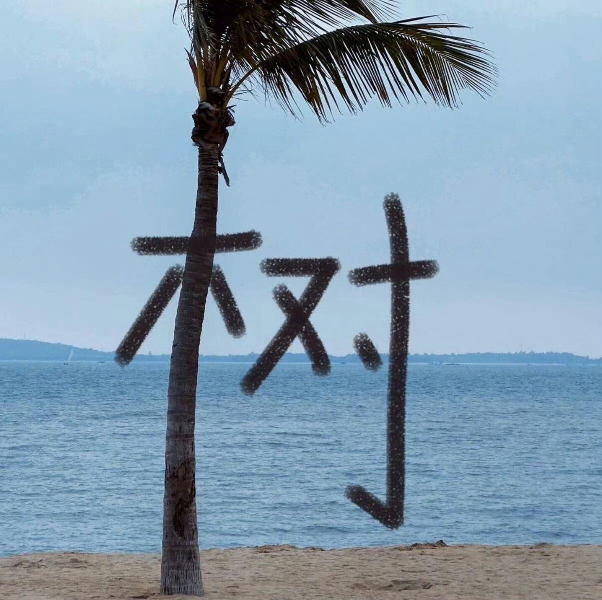 考考考考考一直都在应试教育从来没停 