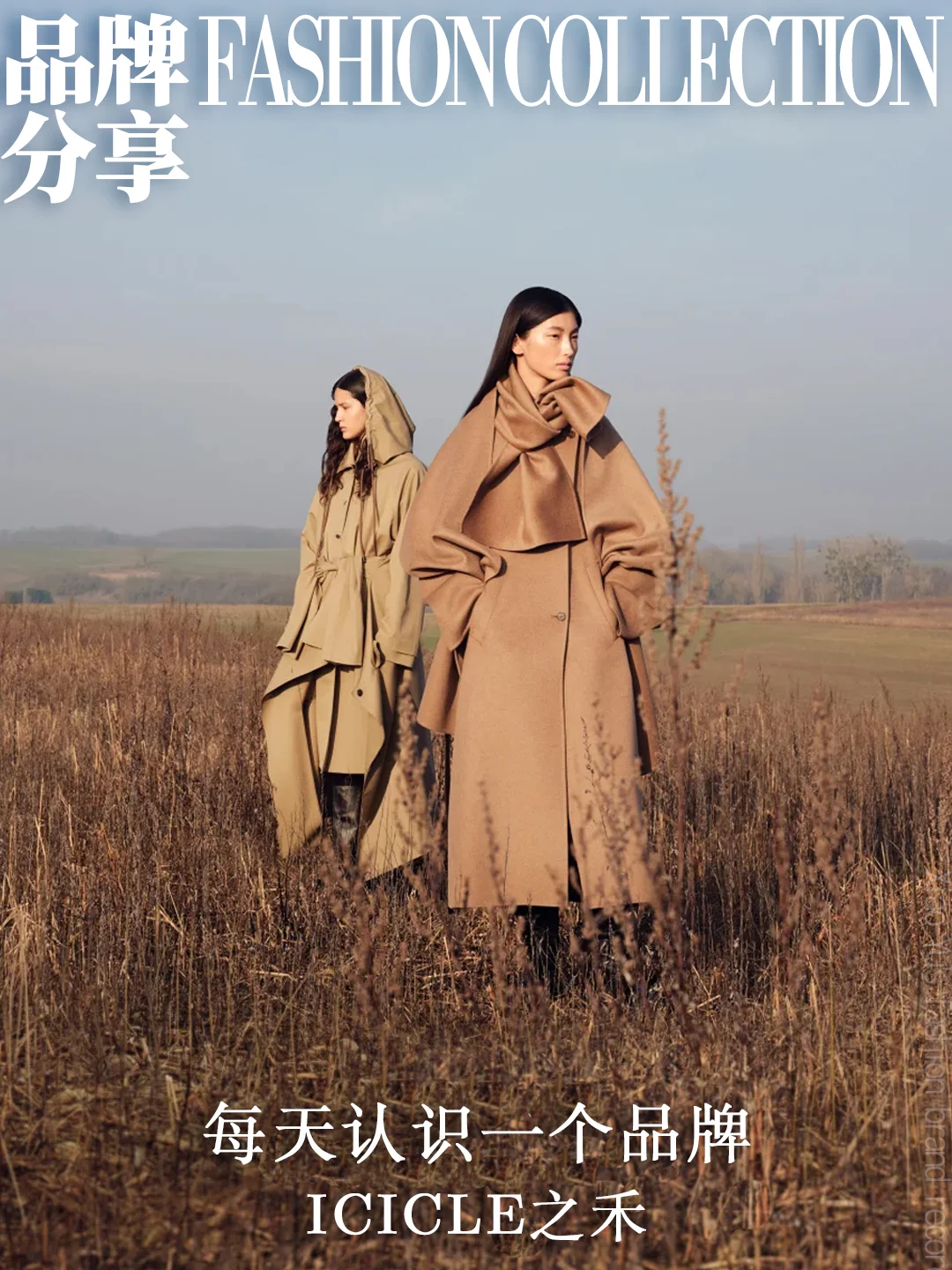 质感女装品牌分享｜之禾（ICICLE）