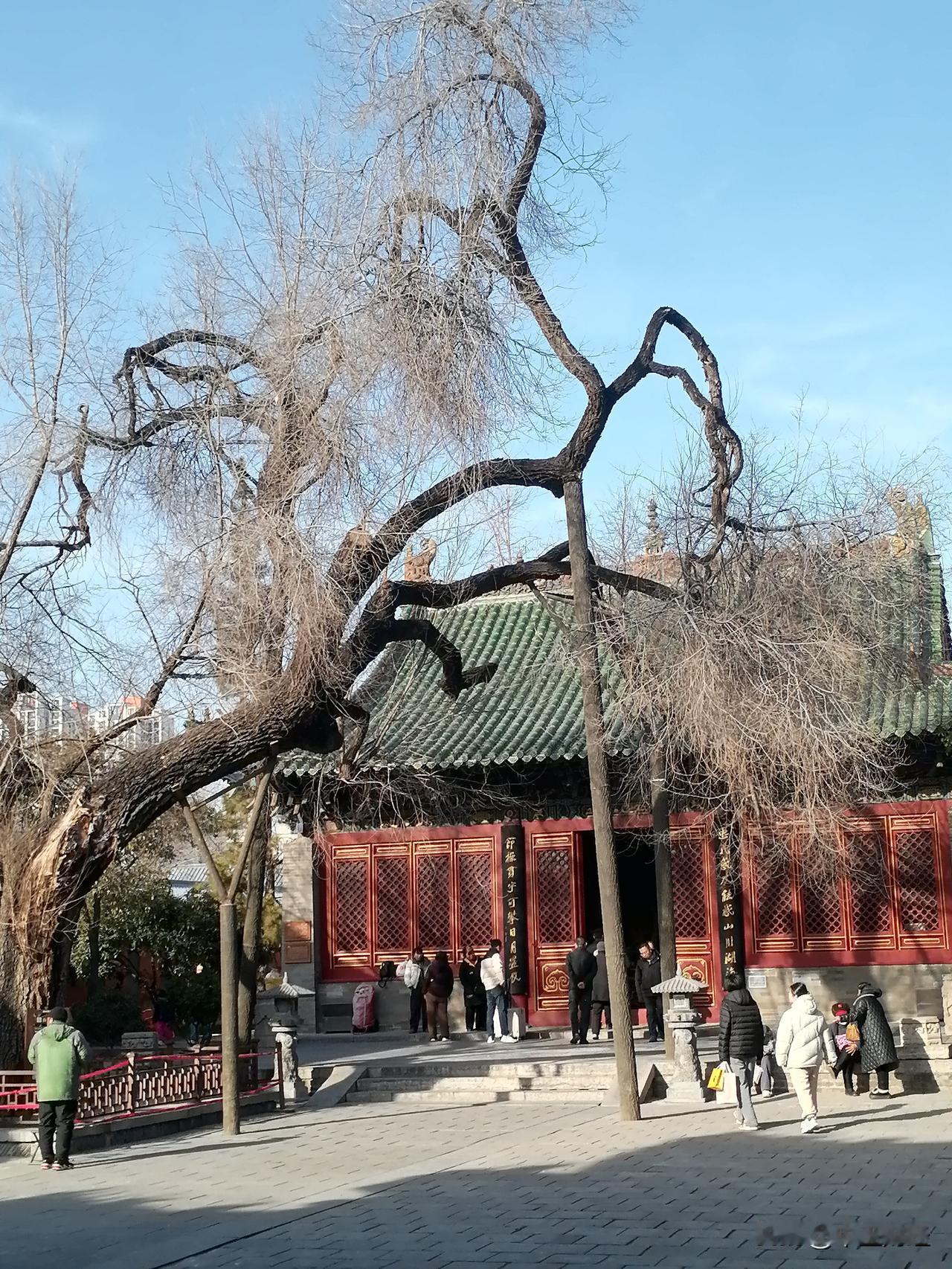 “商”，这也许有人会想到安阳，但是商城的扩展影响力以及历史表明，商城指的就是郑州