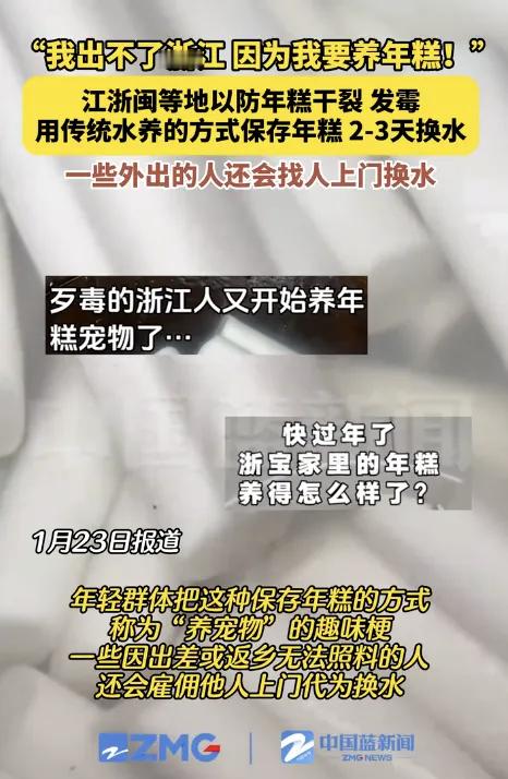 【别人养鱼，你家养年糕？！】当北方的朋友们还在忙着囤大白菜、腌酸菜时，江浙一带的