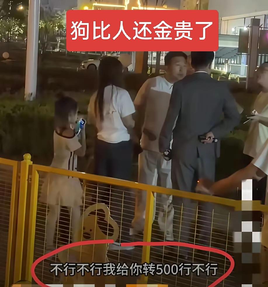 小朋友路边小便，女子的宠物狗凑过来，被尿头上了，多大点事呀！女子非要孩子家长陪着