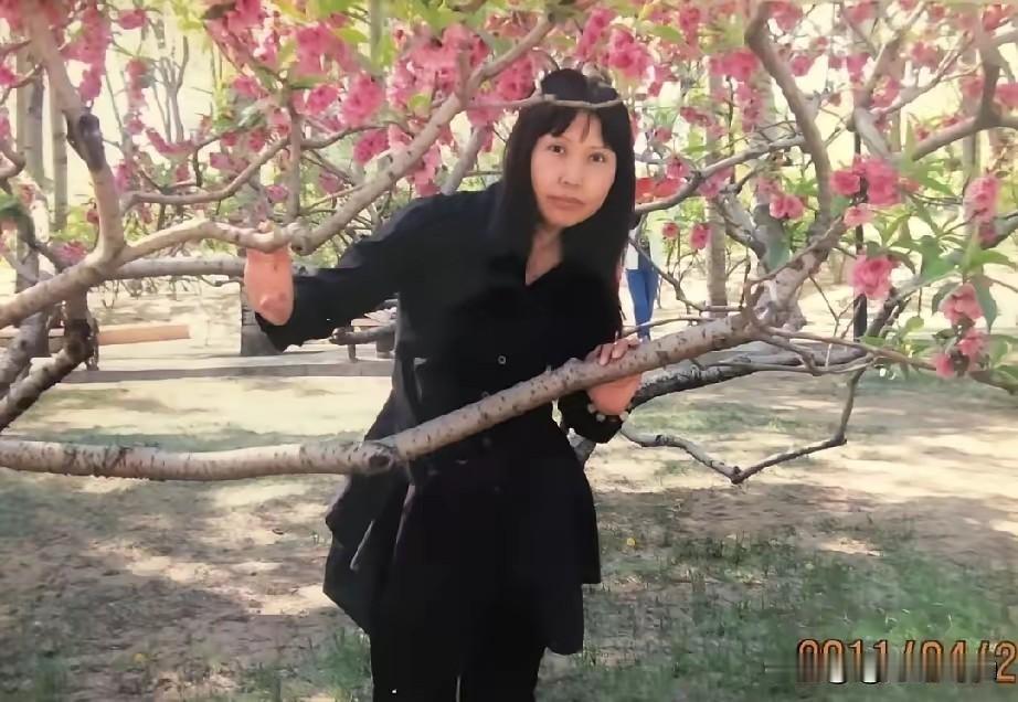 下面这位作者纯粹是顺风接屁捧臭脚，苗京京成了全世界的经典？

上午模仿苗京京写了