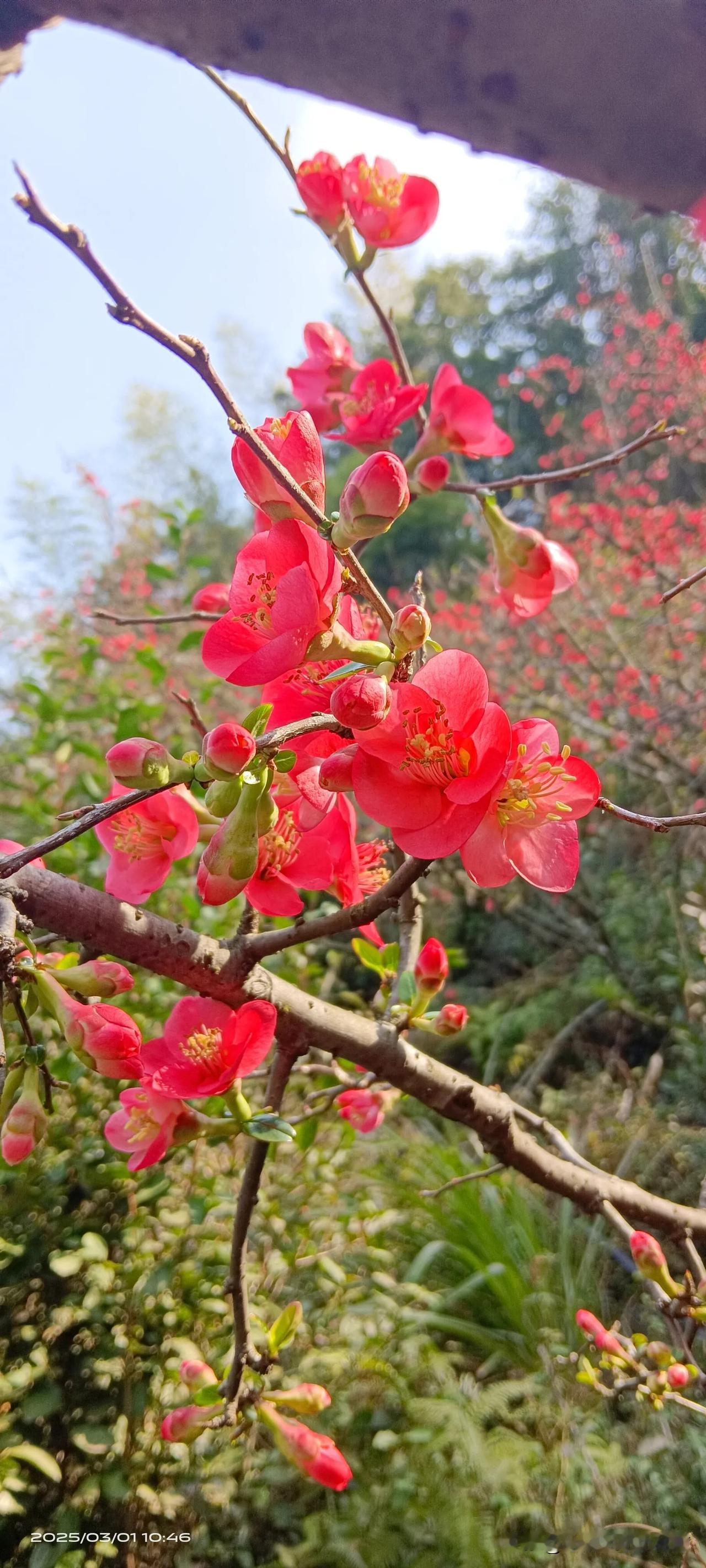 有一个认识多年的上海网友让我告诉她老公做手术的时间，她要来看看我们。

我和这个