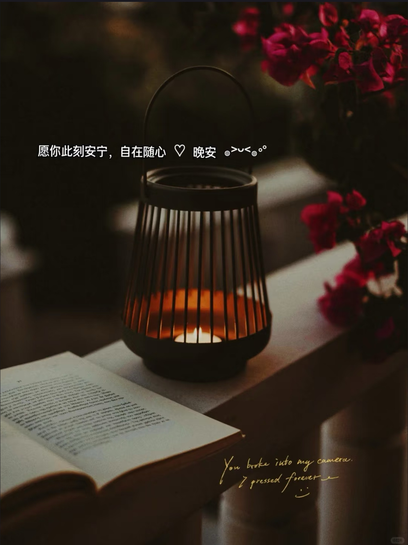 生活向来现实又直白。当你一无所有、毫无实力时，只能收敛锋芒低头忍让，凡事由别人主
