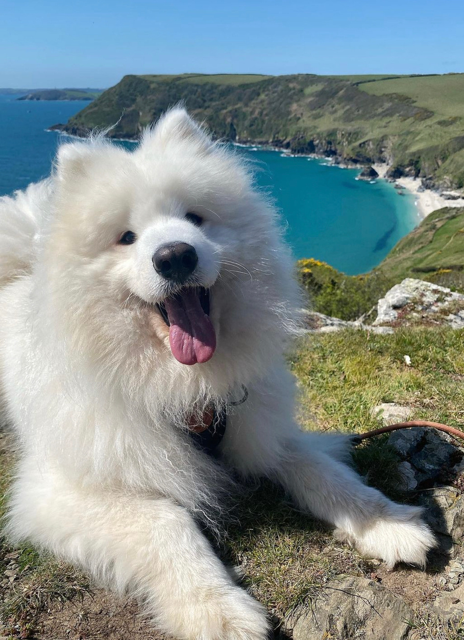 妈妈说的没错，人生是旷野 