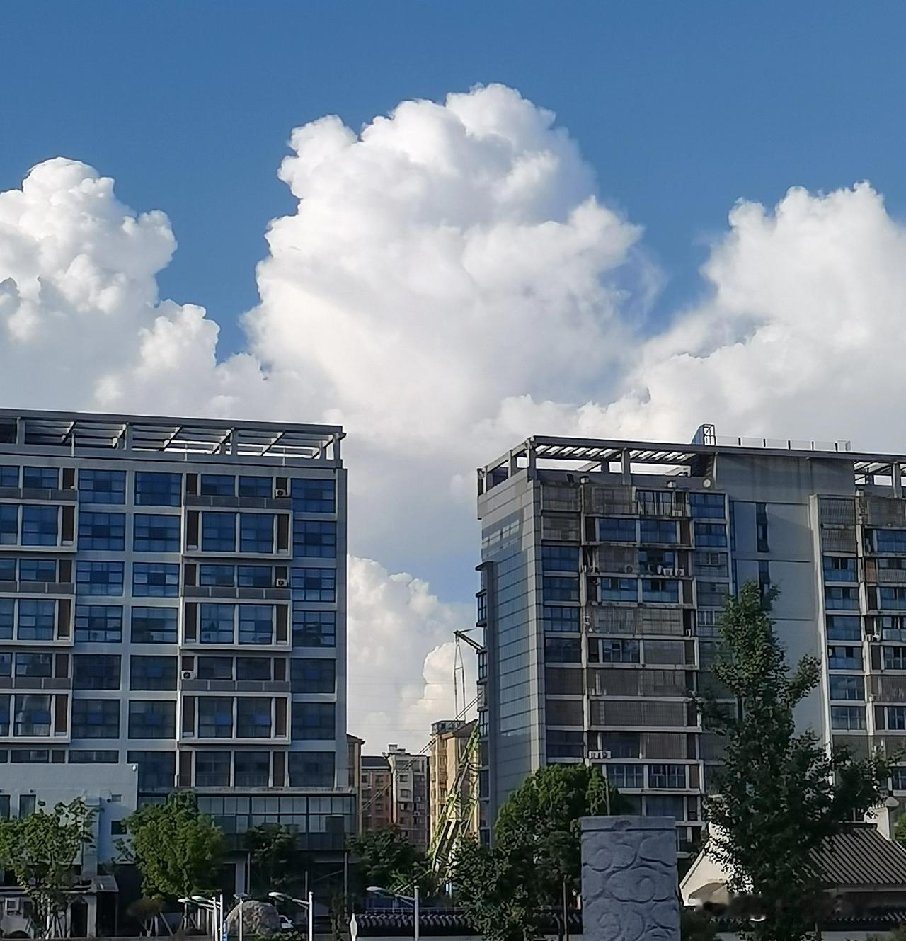我爱天空，
更爱天空中的火烧云，
就是那或薄或厚变化多端的云彩，
常常引起我无限