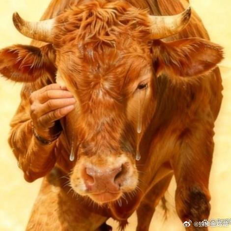 《跌破5.40！人民币“升值”，新币兑人民币创一年新低，谁在偷笑？》凌晨四点，新