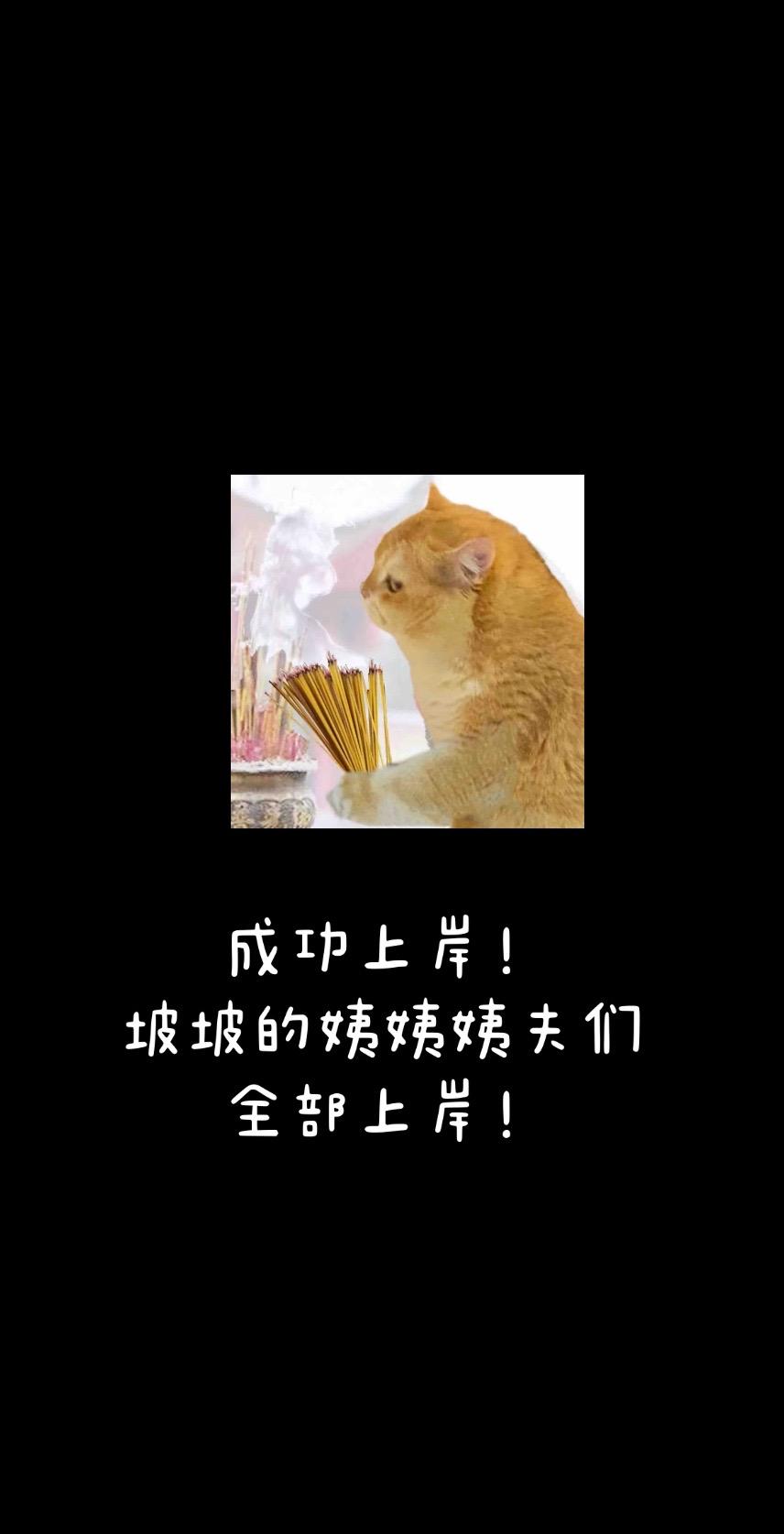 上岸！坡坡烧香拜佛愿大家