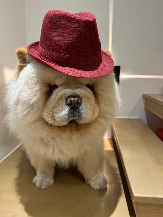 被迫营业至骂骂咧咧