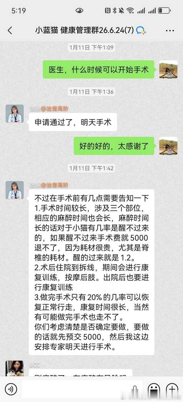 流浪猫救助 求扩散‼️您好，被救助猫咪是一只蓝猫妹妹，疑似遭遇车祸，已做脊柱减压