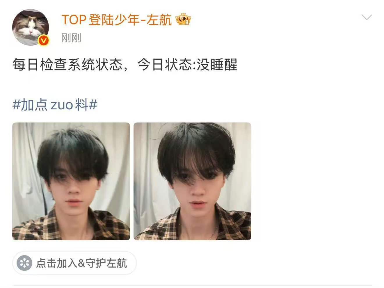 左航成日更博主了左航日更博主上线 航酱终于不发猫了 