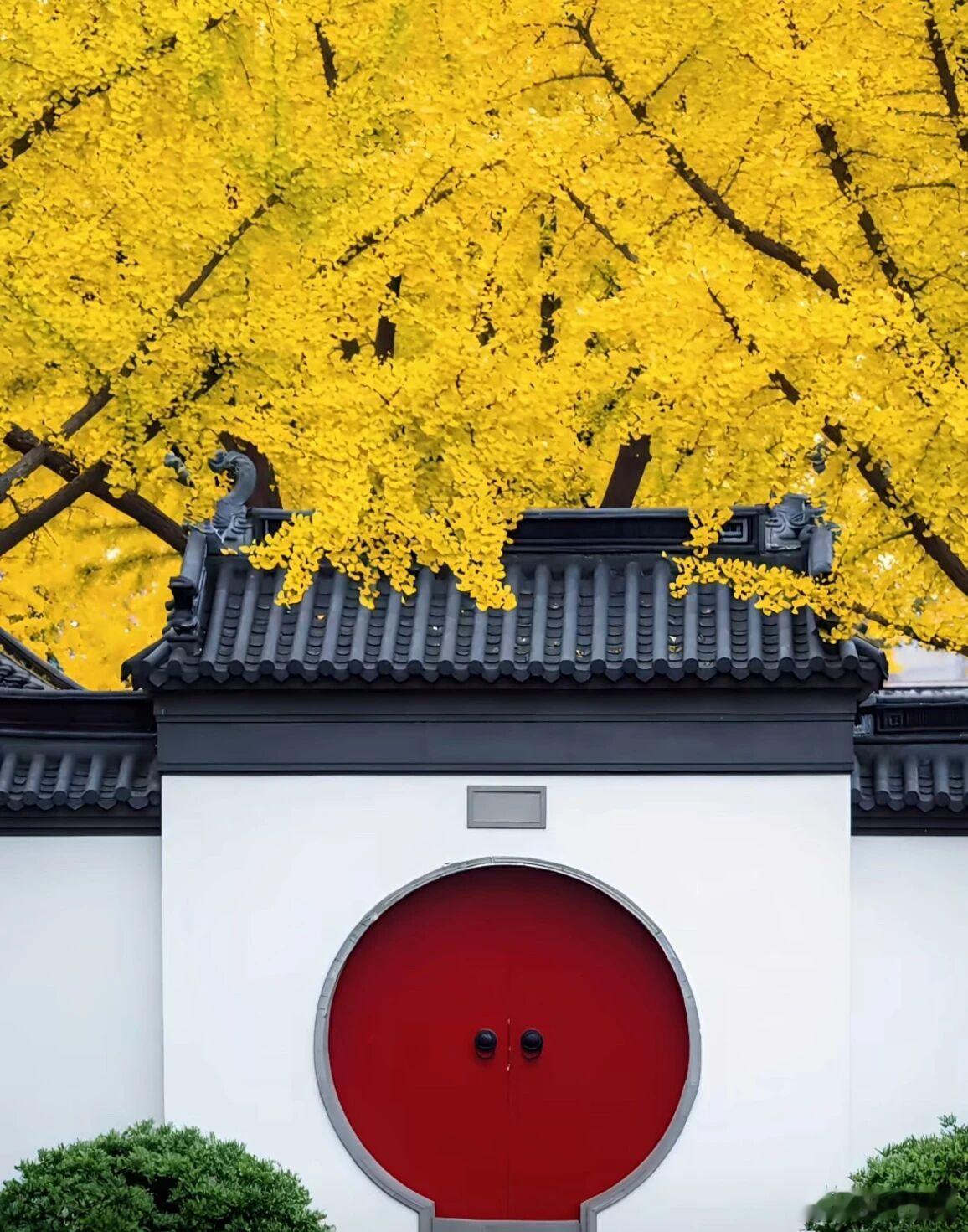 心理学研究表明，90%的人际关系苦恼，都是个体心理边界不清导致的。“心理边界”就