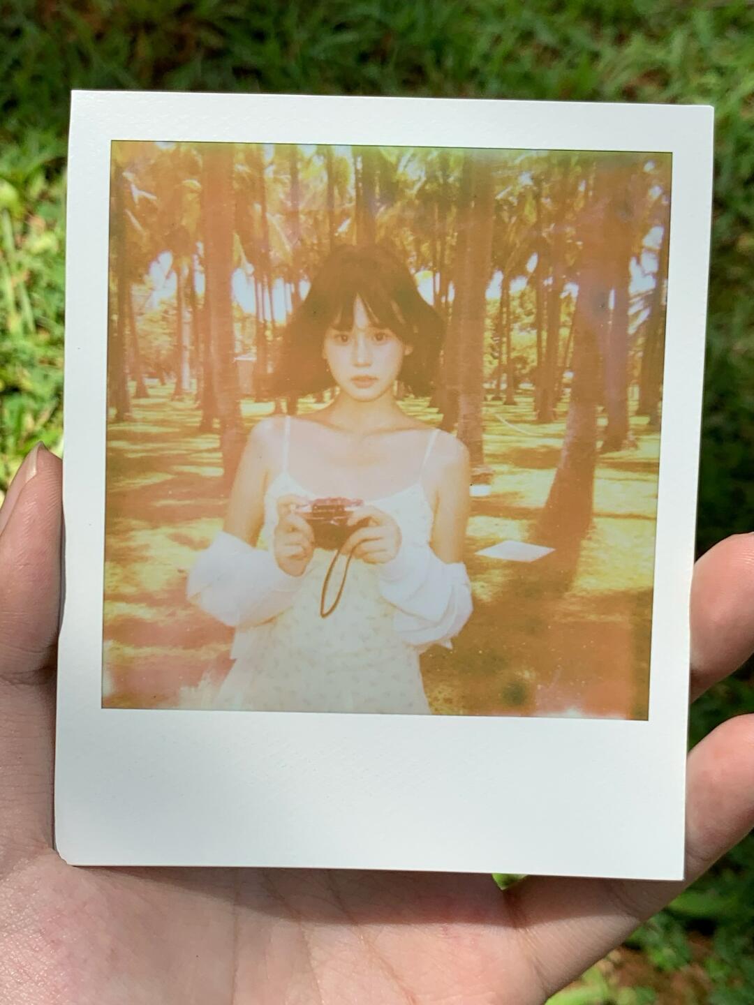 高温下的宝丽来