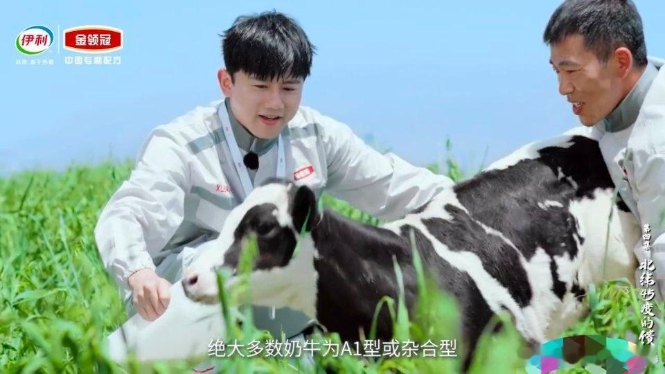 超凡奶粉在中国超凡奶粉在中国第二季  【金领冠《超凡奶粉在中国》｜用匠心守护每一
