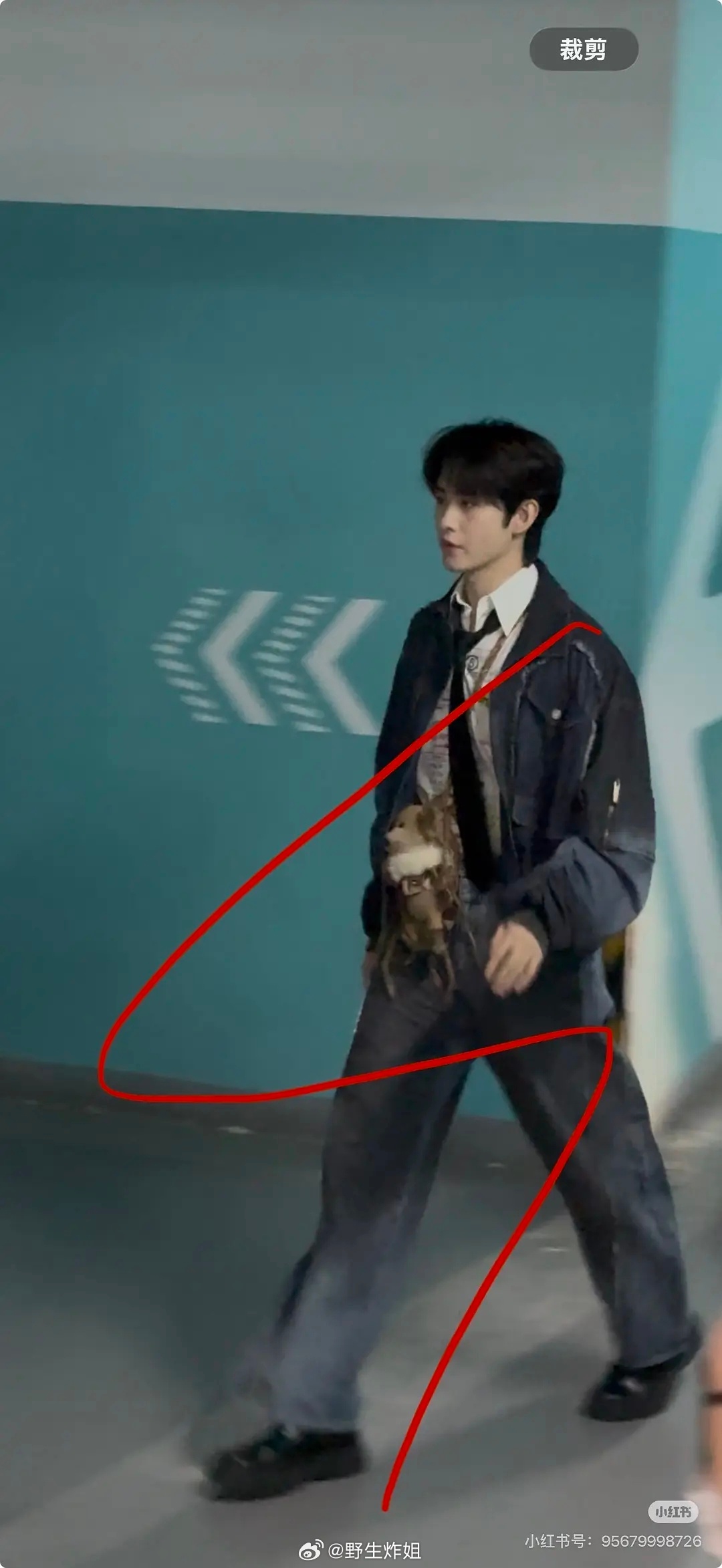 月鳞绮纪四个主演追剧团生图来了：鞠婧祎 曾舜晞    陈都灵 田嘉瑞 