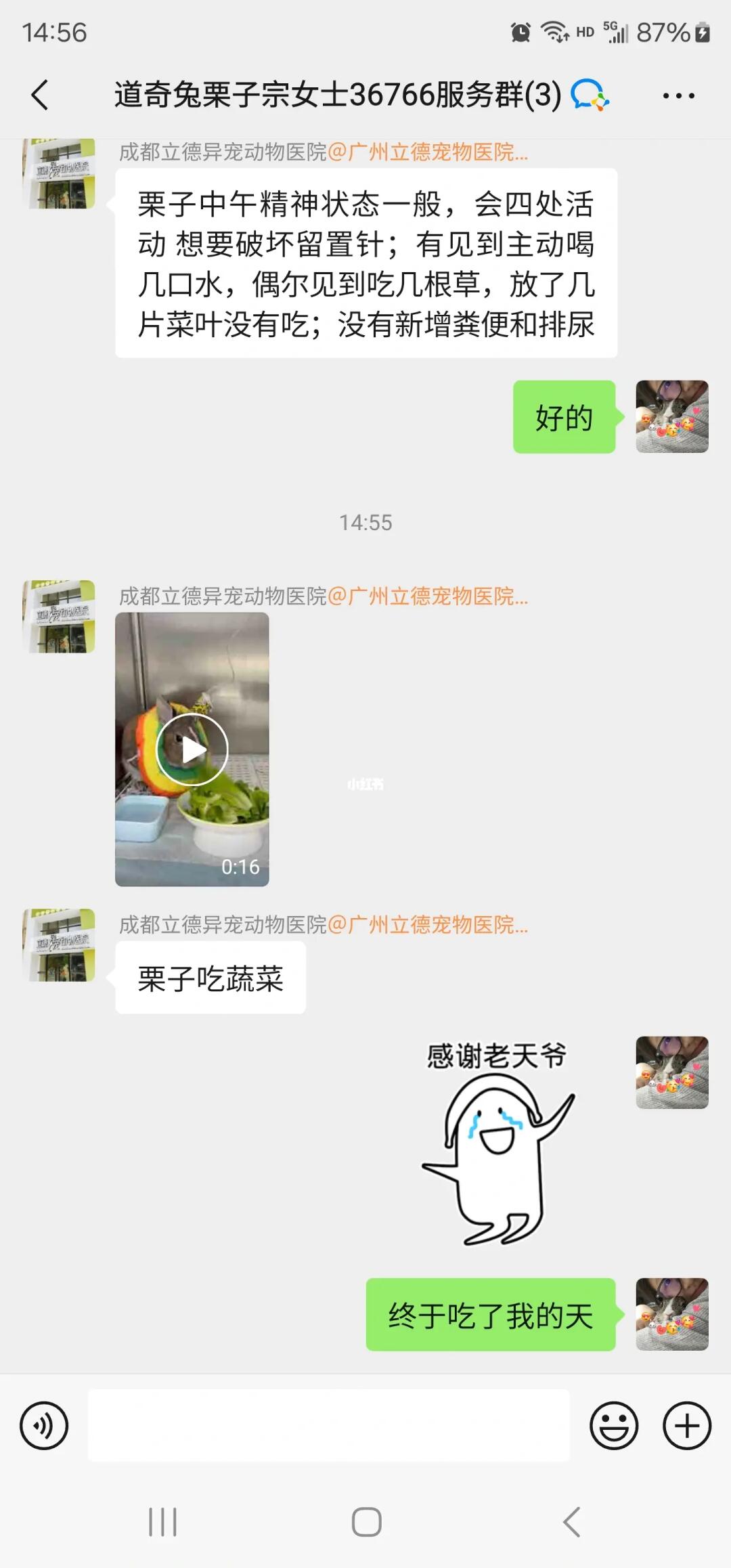 老母亲在家简直要留下热泪
