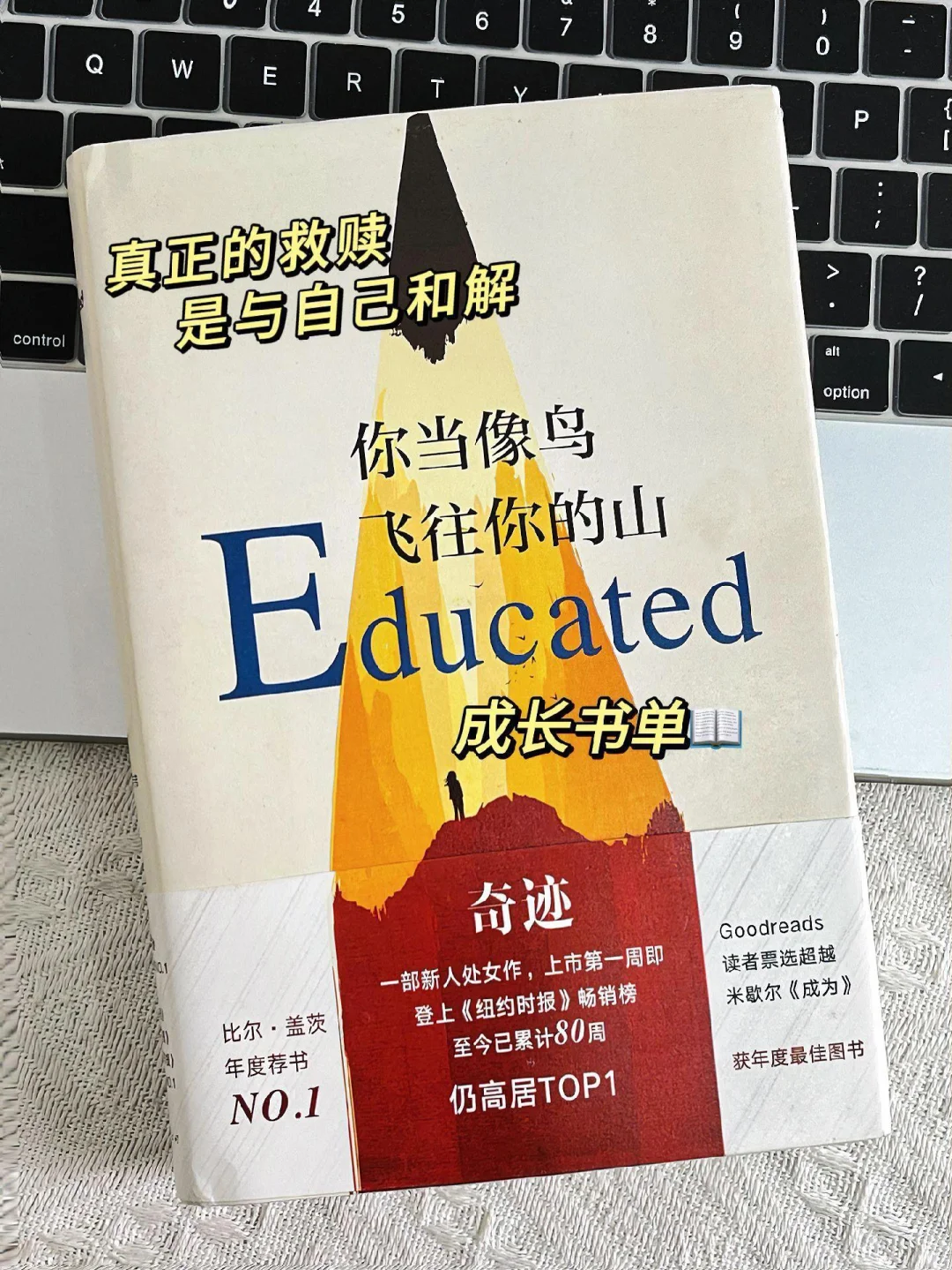 《你当像鸟飞往你的山》