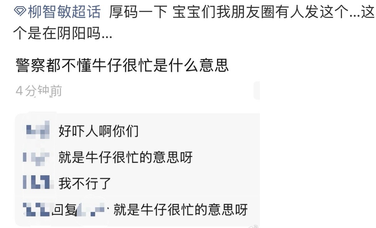 就是牛仔很忙的意思啊…… 