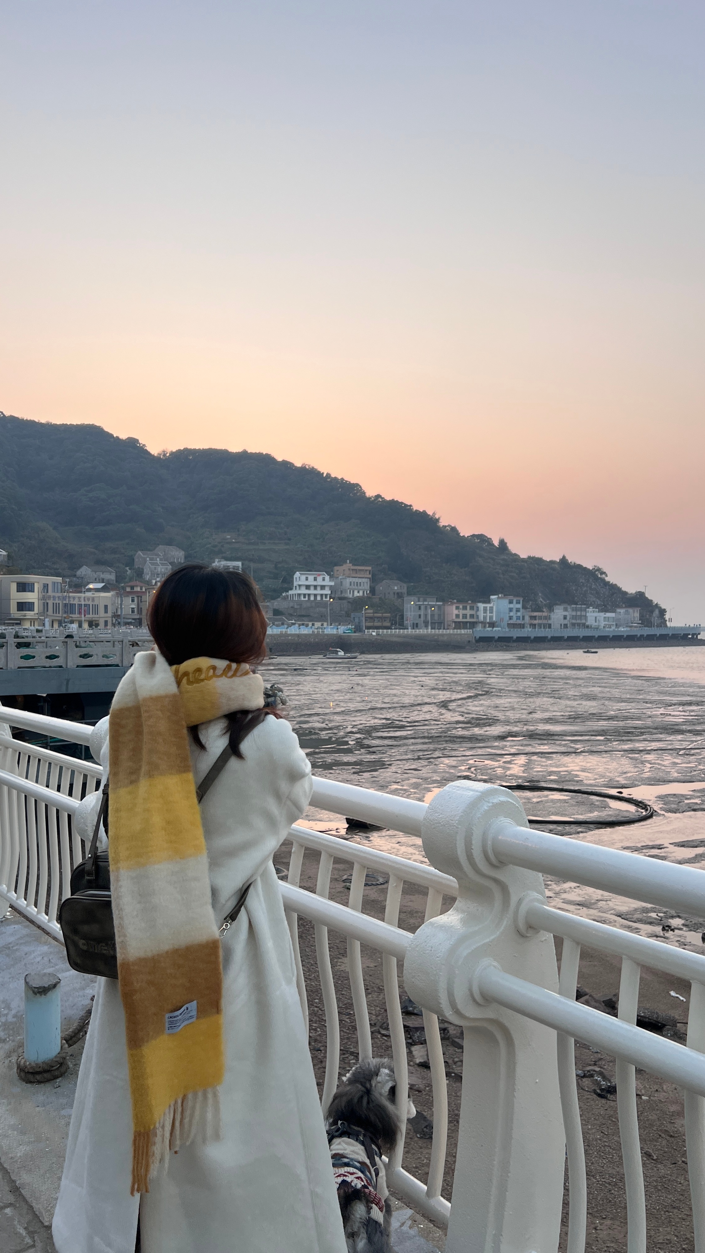 趁着降温发冬天[兔子] ​​​