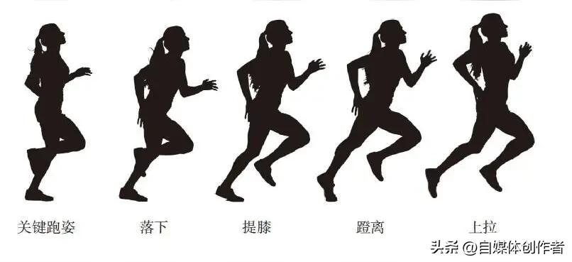 重庆体育老师晒娃火了！跑步动作拆解太专业，原来普通跑步藏着这么多门道
 
重庆一