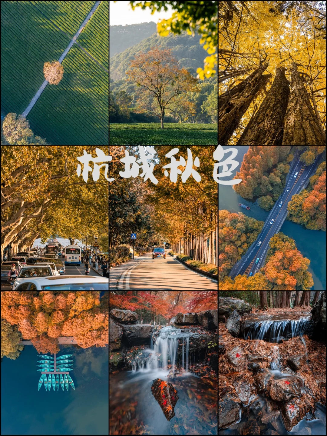 接一下来的一个月杭州将美成这个样子