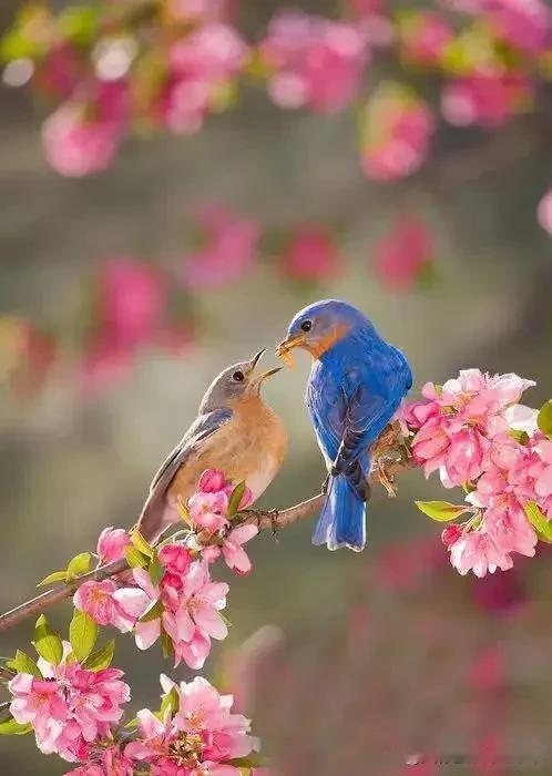 夫妻一起生活一辈子，诚实守信、互敬互让确实太重要了。就像朋友小强和小丽，小强不尊