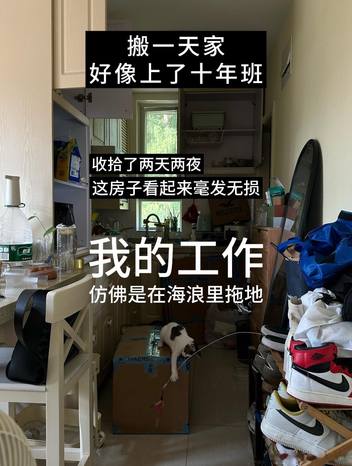 一个人搬家仿佛渡劫 搬家我最有发言权了，嘻嘻，千万别没苦硬吃了。租房多年高频搬家