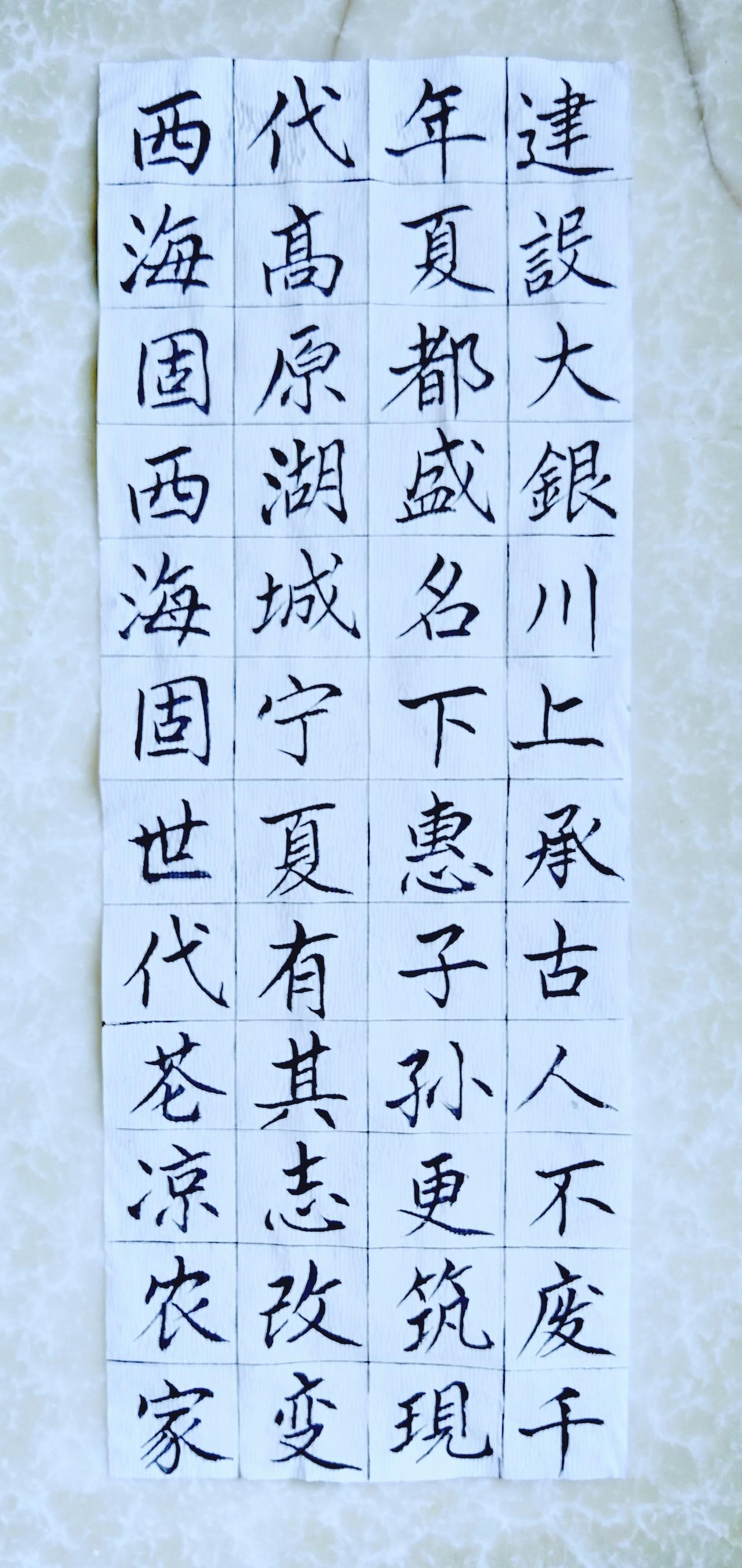 第九十三天《宁夏赋》（16）正楷毛笔练习