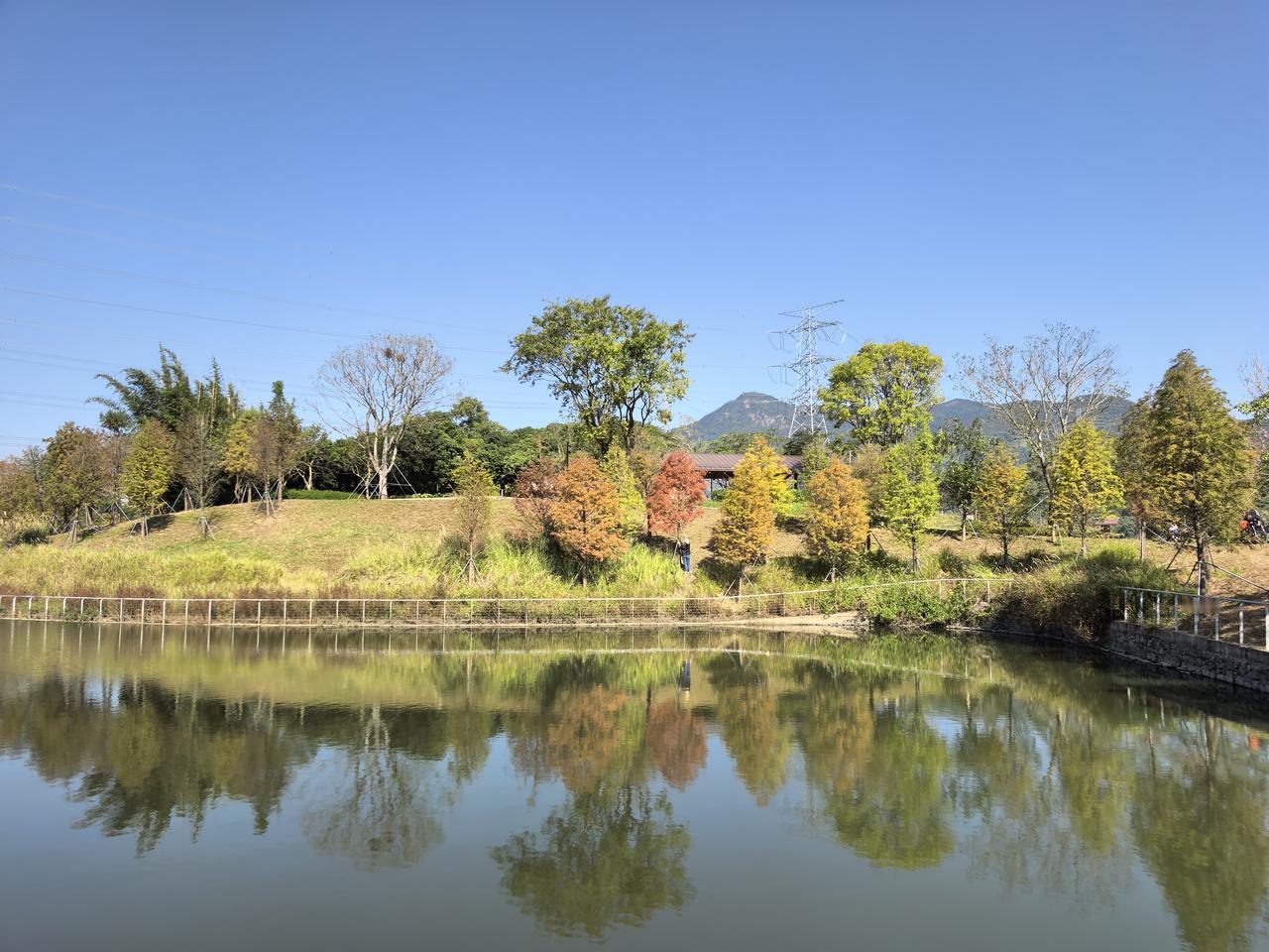 晒出几张清澈的蓝天照片天蓝蓝，水清清，秋来叶如花。