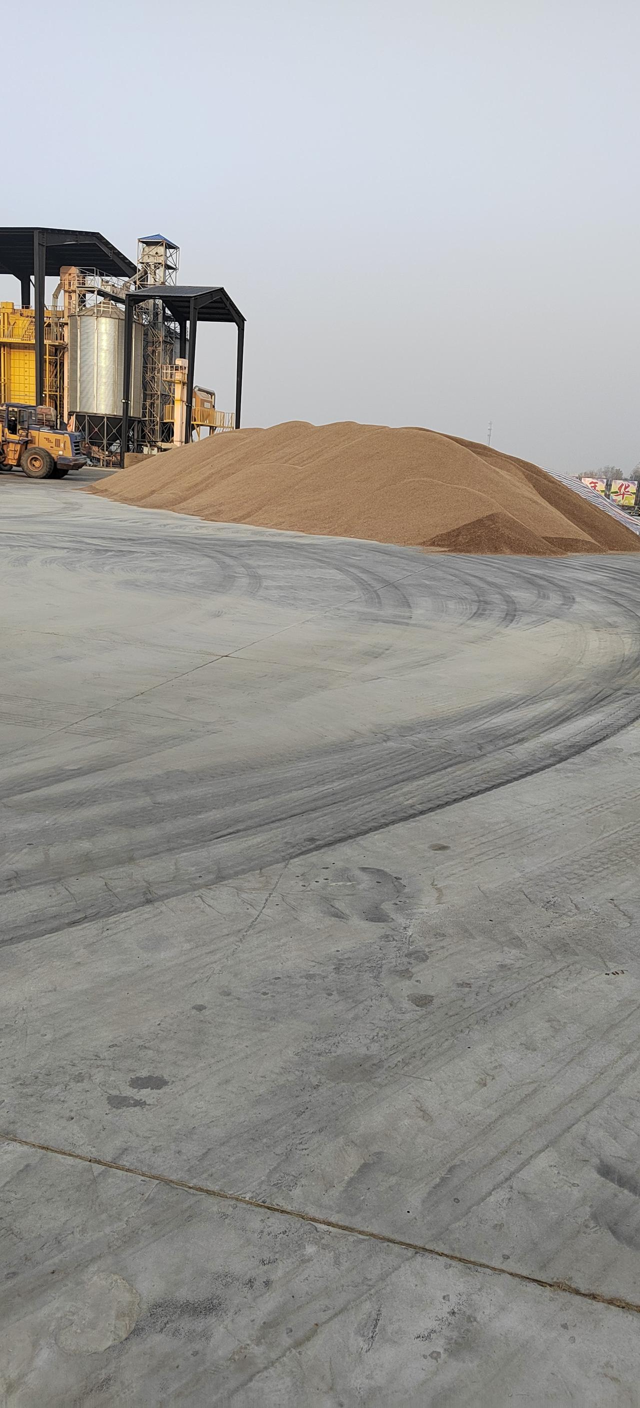 春播千粒种，秋收万斤粮，学校组织学生们来这里研学，学习粮食来之不易，粒粒皆辛苦的