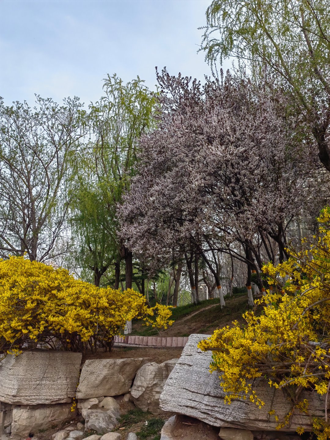 我家门前那条河