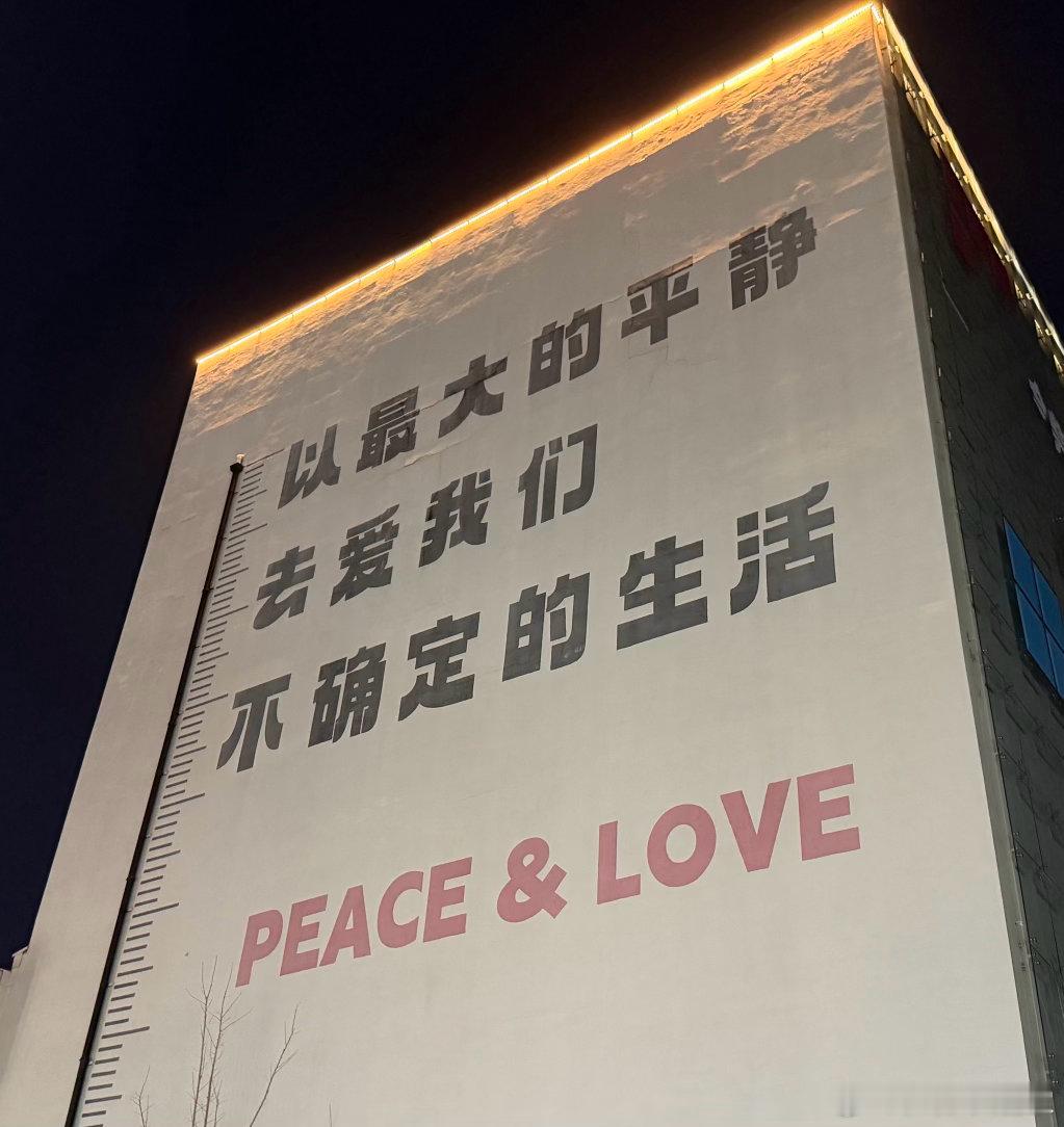 飞机上没信号不能刷手机，眼睛视疲劳也看不了缓电影，只好随便选几个歌单下一堆歌，边