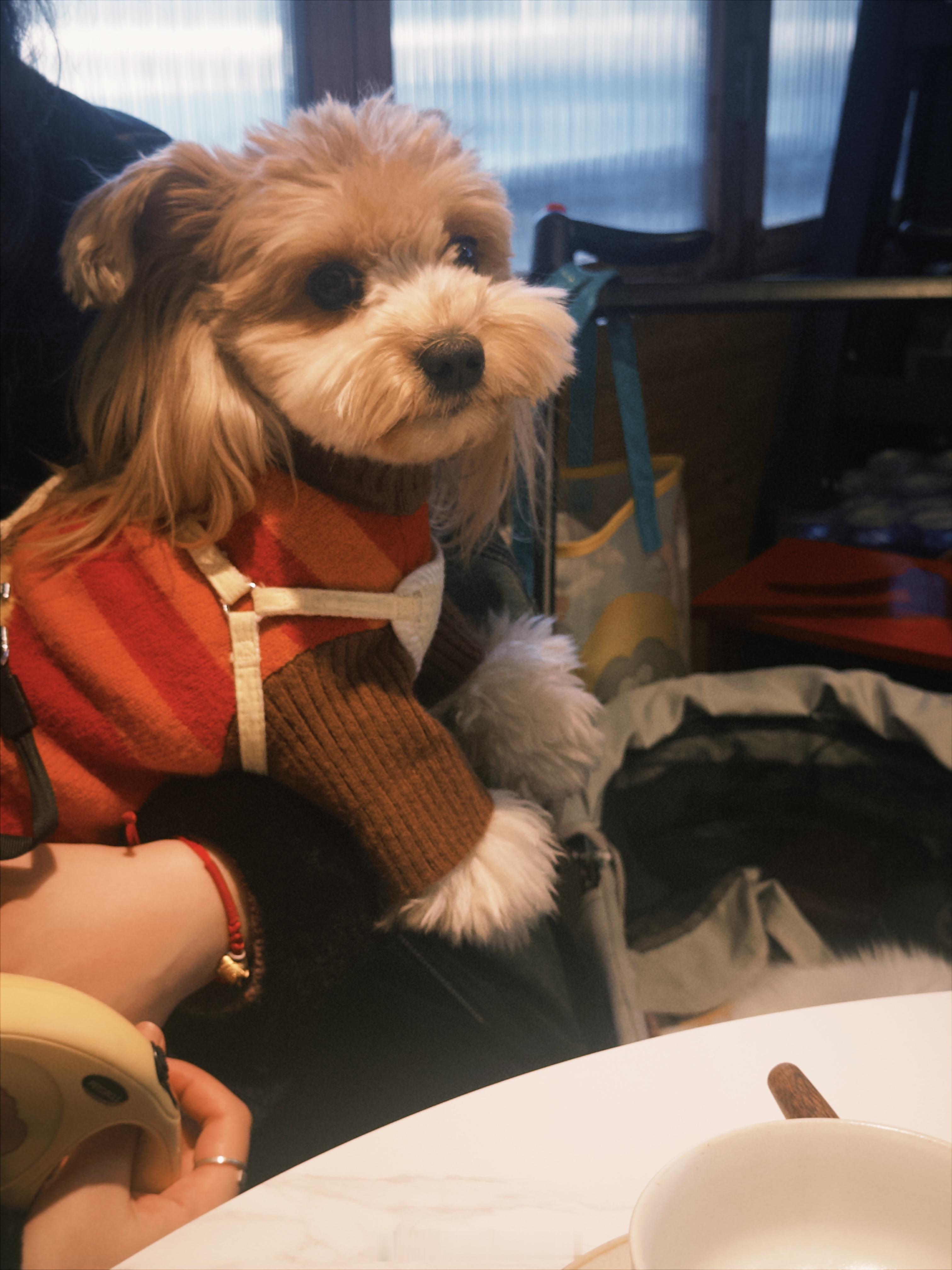 简单总结一下我的上半年