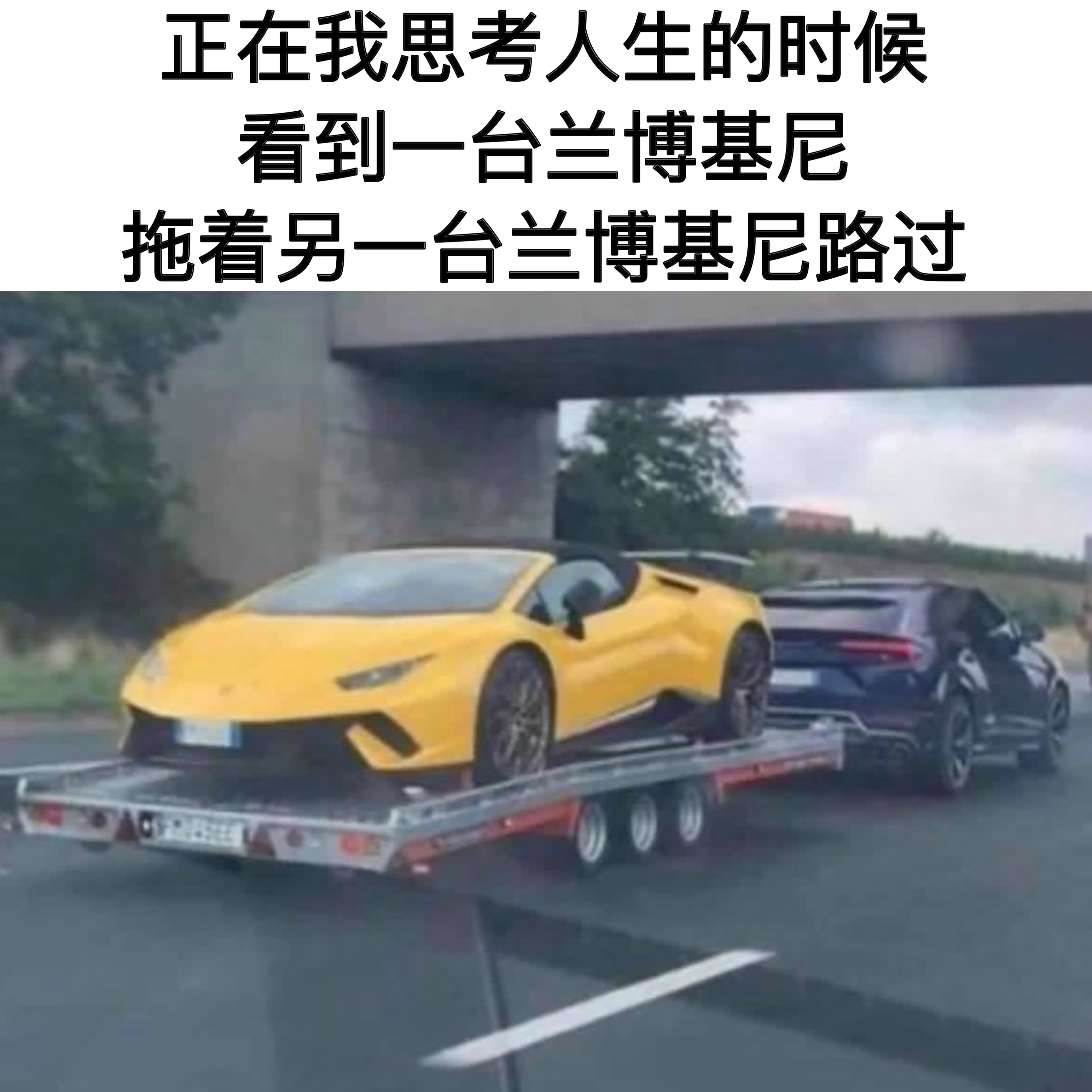 此刻全无意义#meme# ​​​
