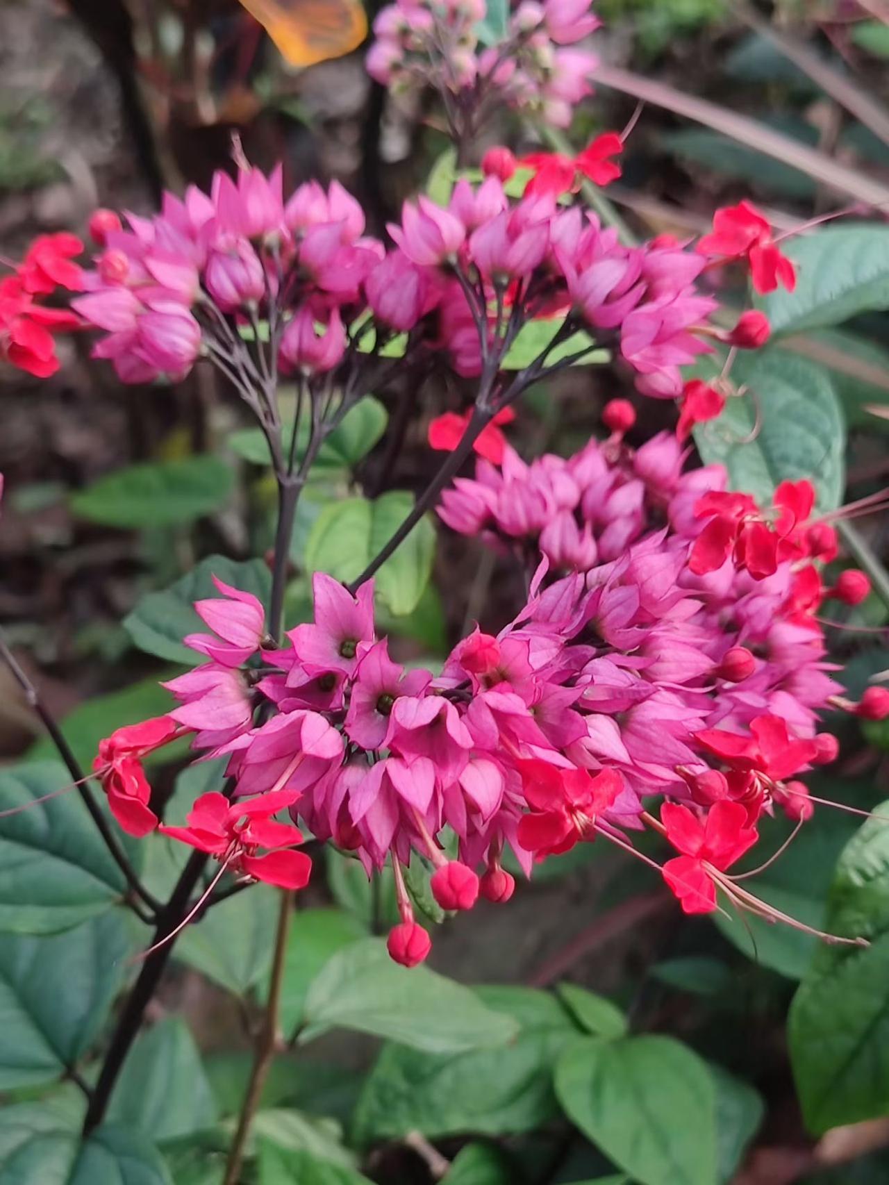 【04.10修身心语】
您好！
福气从不凭空降临，它藏在你每一次发自内心的善意里