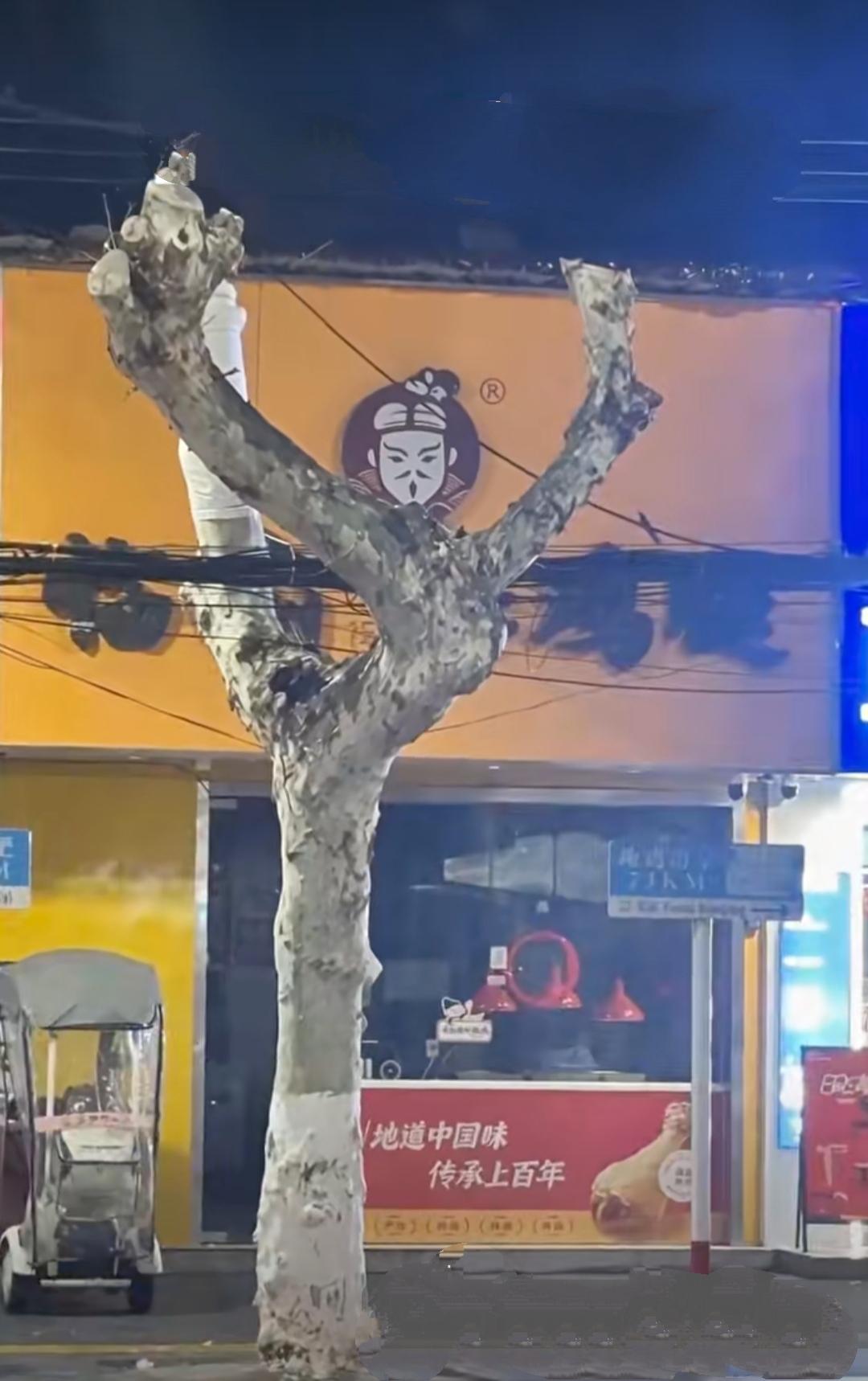 哈哈，你看到了什么？就问你寸不寸！[大笑]