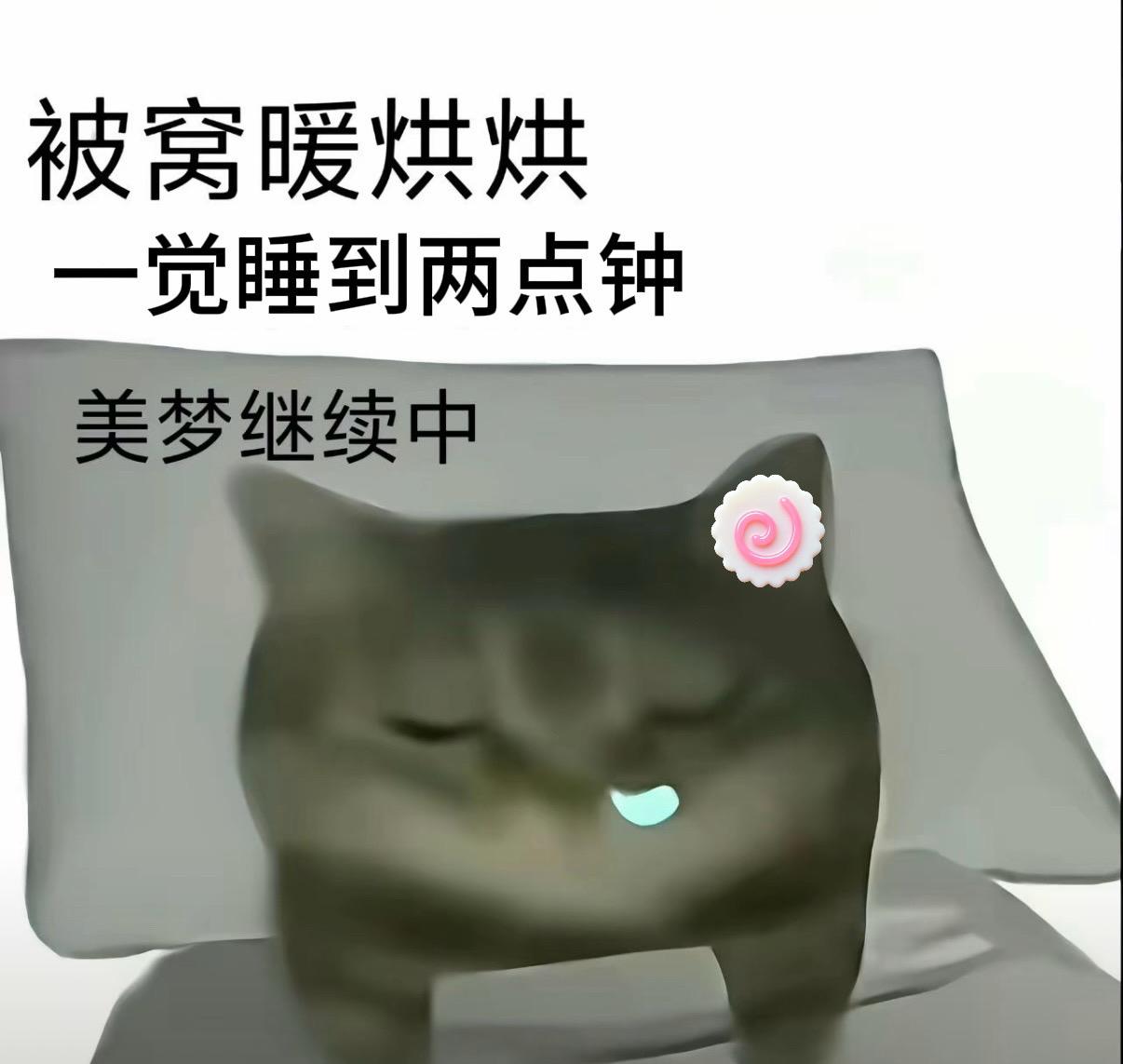 实用冷知识 这是个真实的事情  弱小可怜又无助 下雨声助眠