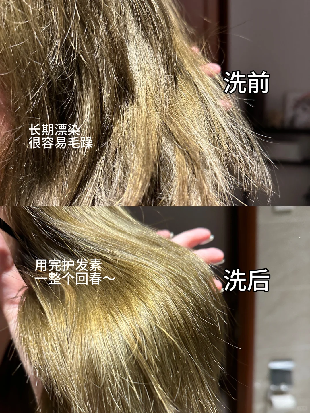 选对洗发水的快乐！拯救烫染受损发质的神✌🏻