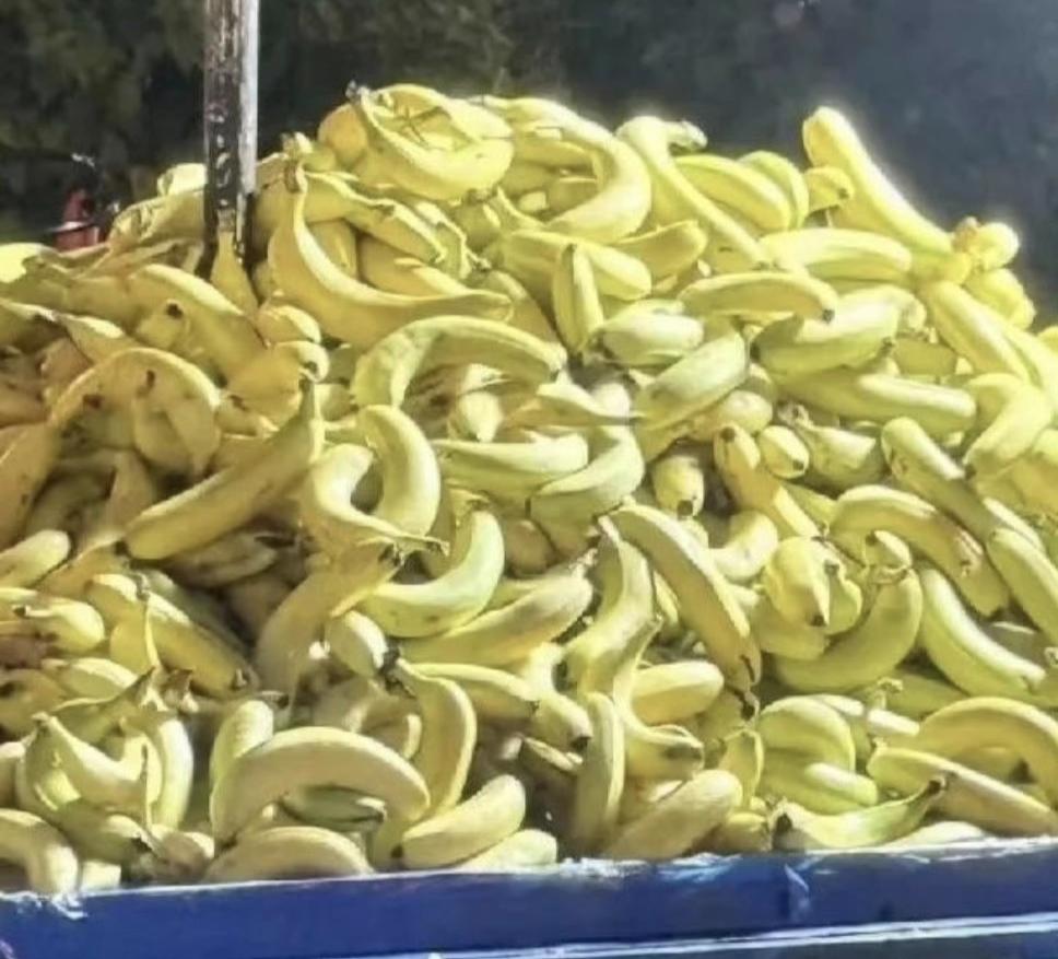 下班路过一卖香蕉的摊位，
很是特别奇怪，
香蕉都是一个个掰开了卖，10元四斤，很