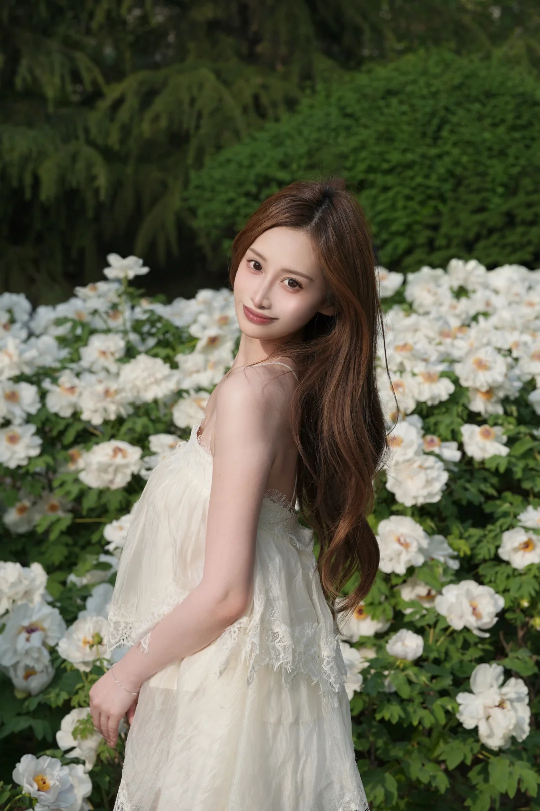 天津的牡丹花开了！！快来共赏