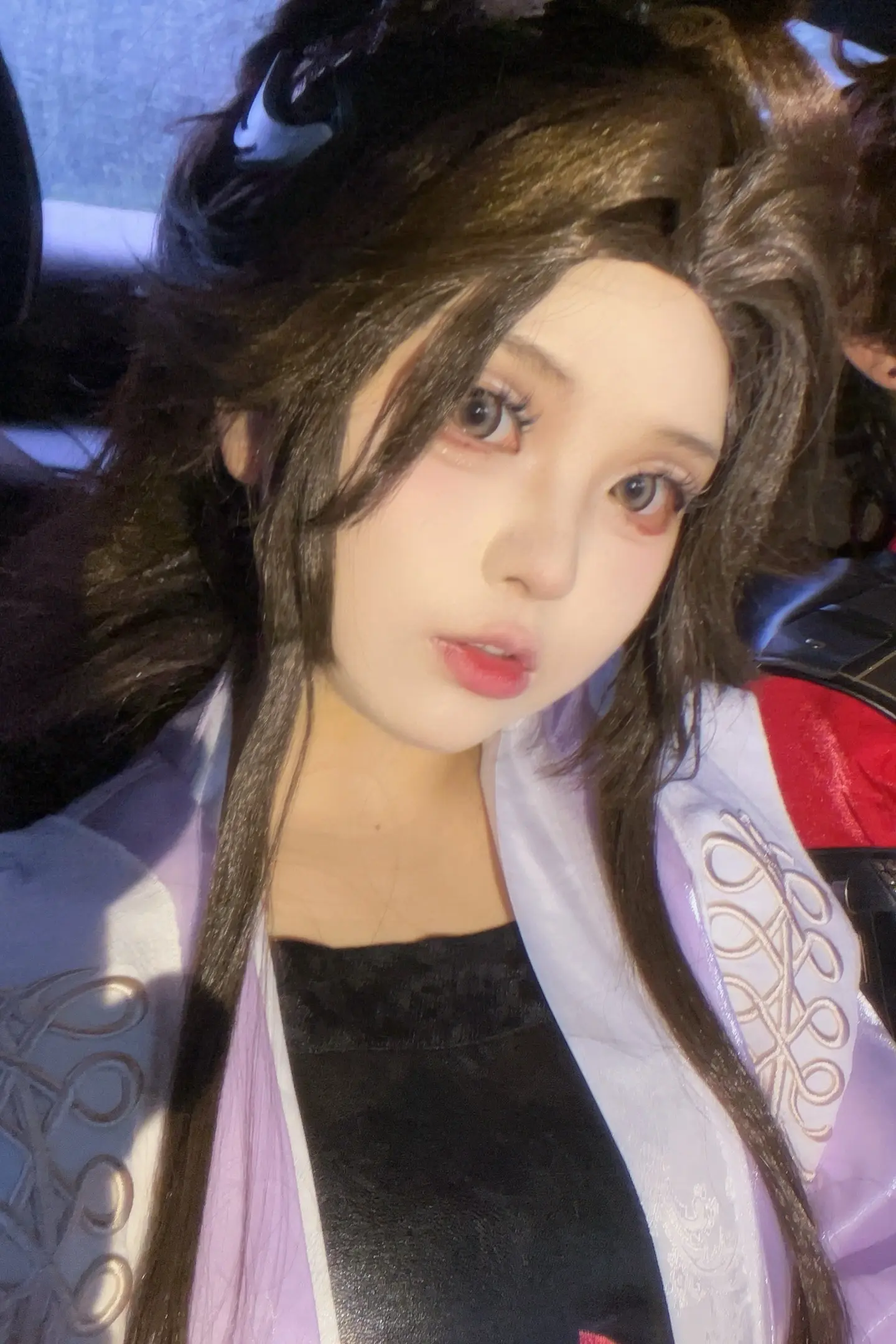 亡鸟回忆录。广陵王
