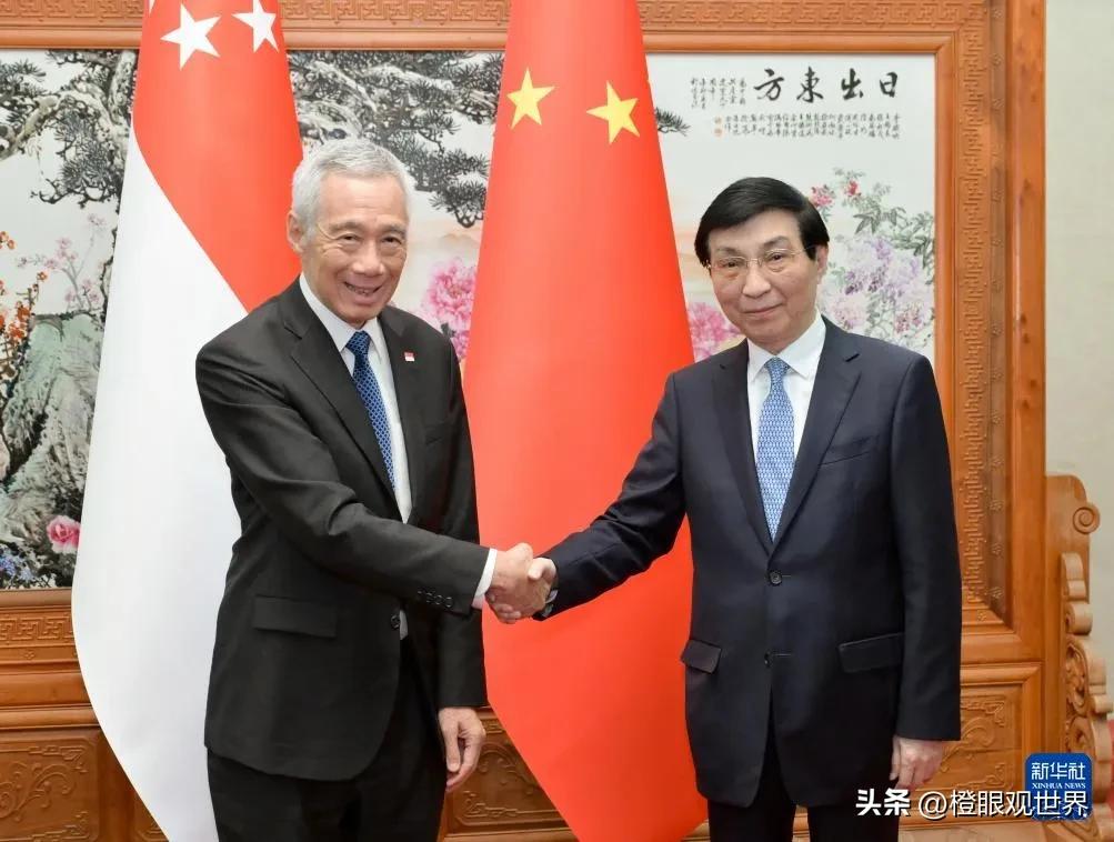 新加坡一句坦诚表态戳破很多人的固有印象：纵然多数国民拥有华人血统，肤色样貌相近，