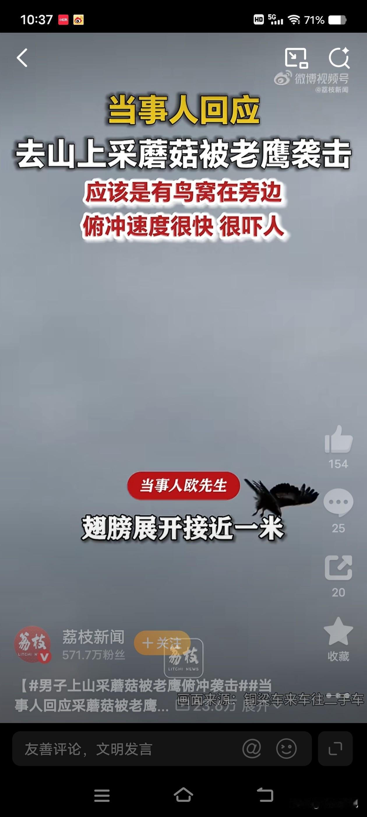 重庆，夫妻二人上山采蘑菇，突遭老鹰俯冲袭击！妻子先察觉叫声提醒，丈夫起初不信，结