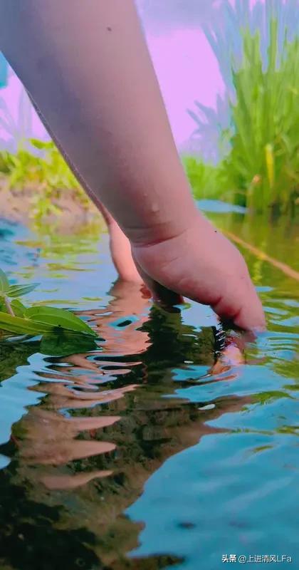 总觉得生活缺了点光亮，渴望家宅兴旺、孩子顺风顺水？其实转运密码就在日常。家宅的兴