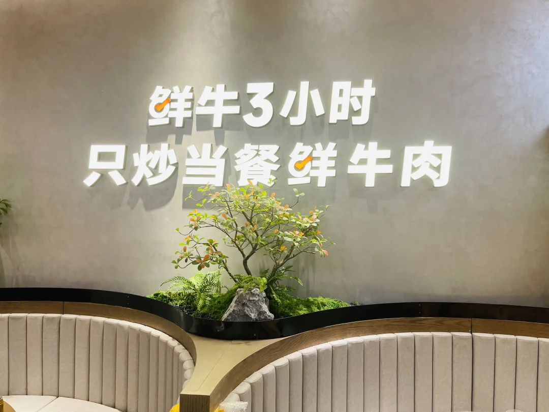 餐厅绿植选这些！效果好出色好看又不招虫