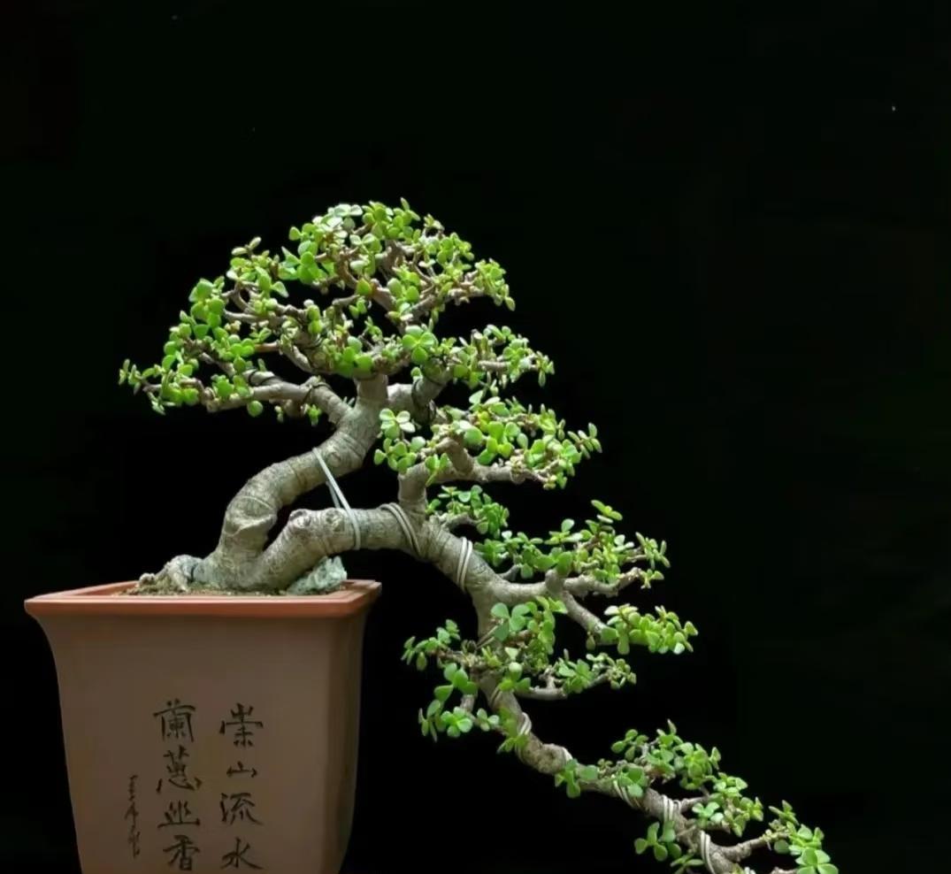 我老公从02年就开始炒股，瞒着我把定期存折挂失了取出来。后面发现说是要给女儿赚奶