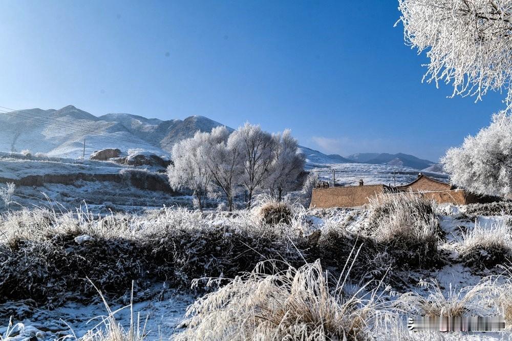 这场迟到的冬雪，给年均降雨量不足两百毫米的旱川，铺就了一幅跨越千年的冰雪长卷，雪