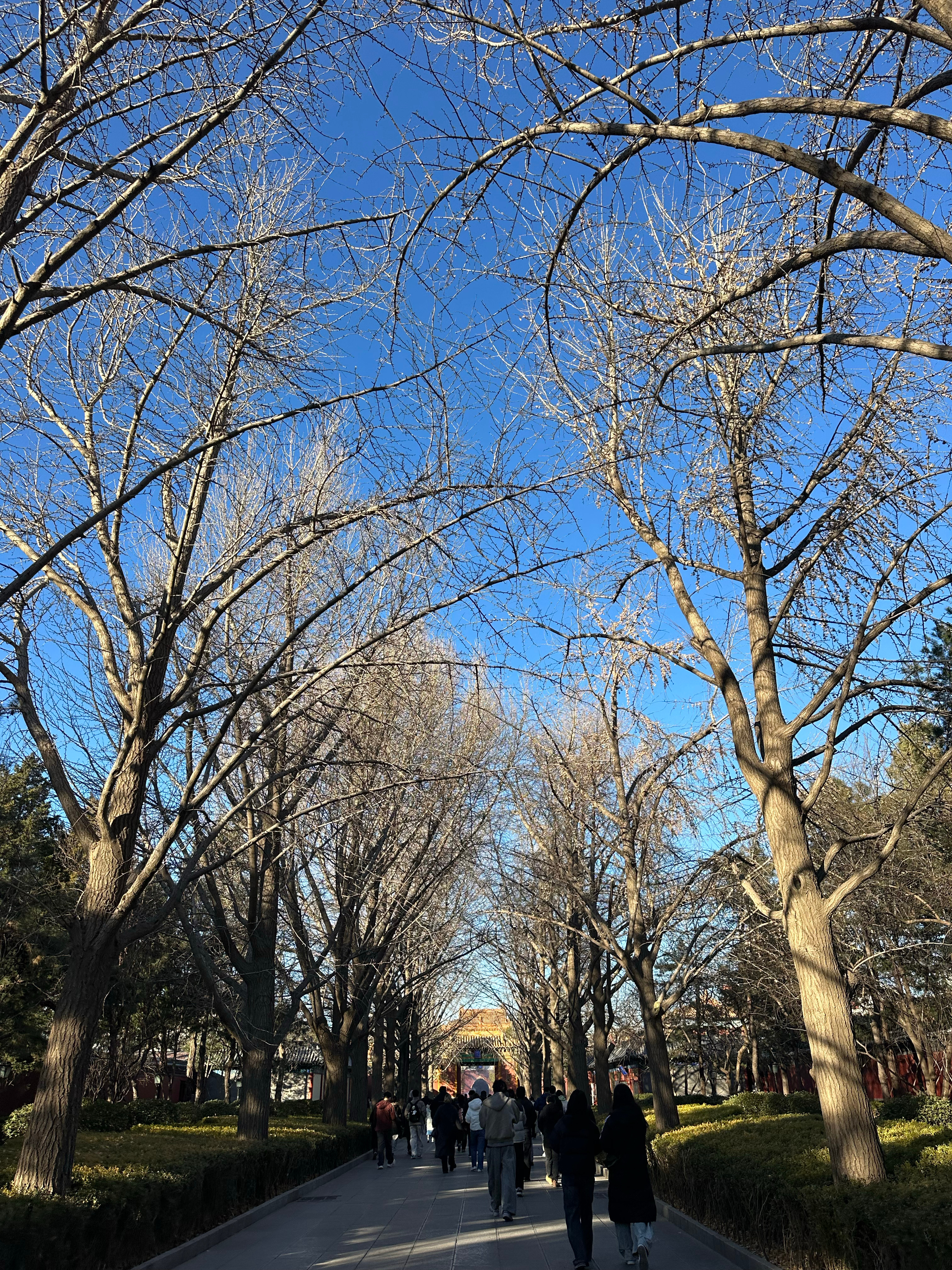 空腹出门 吃遍雍和宫小美食 好香好幸福哈哈 北京·雍和宫