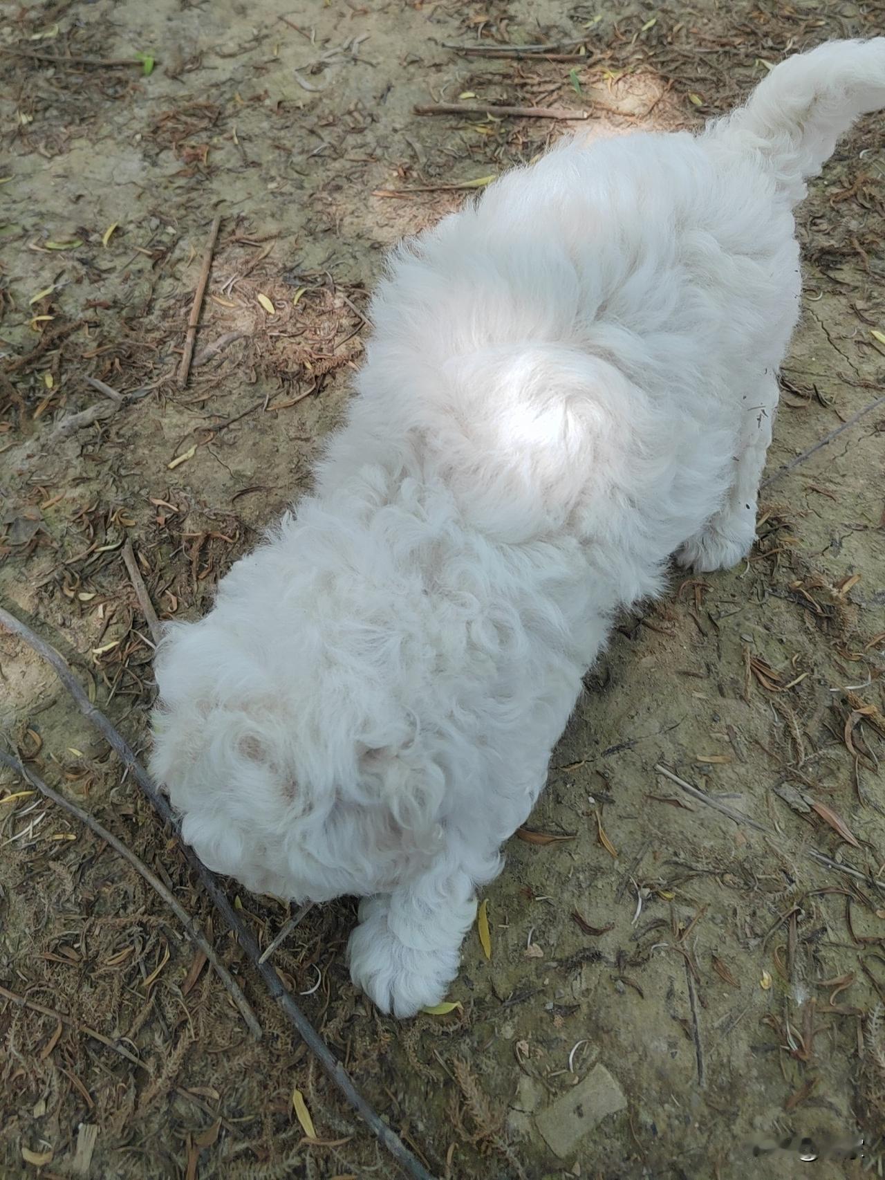 有网友私信给我们说，经常接到乱七八糟的私人电话，在电话中要求他们提供电子合同原件