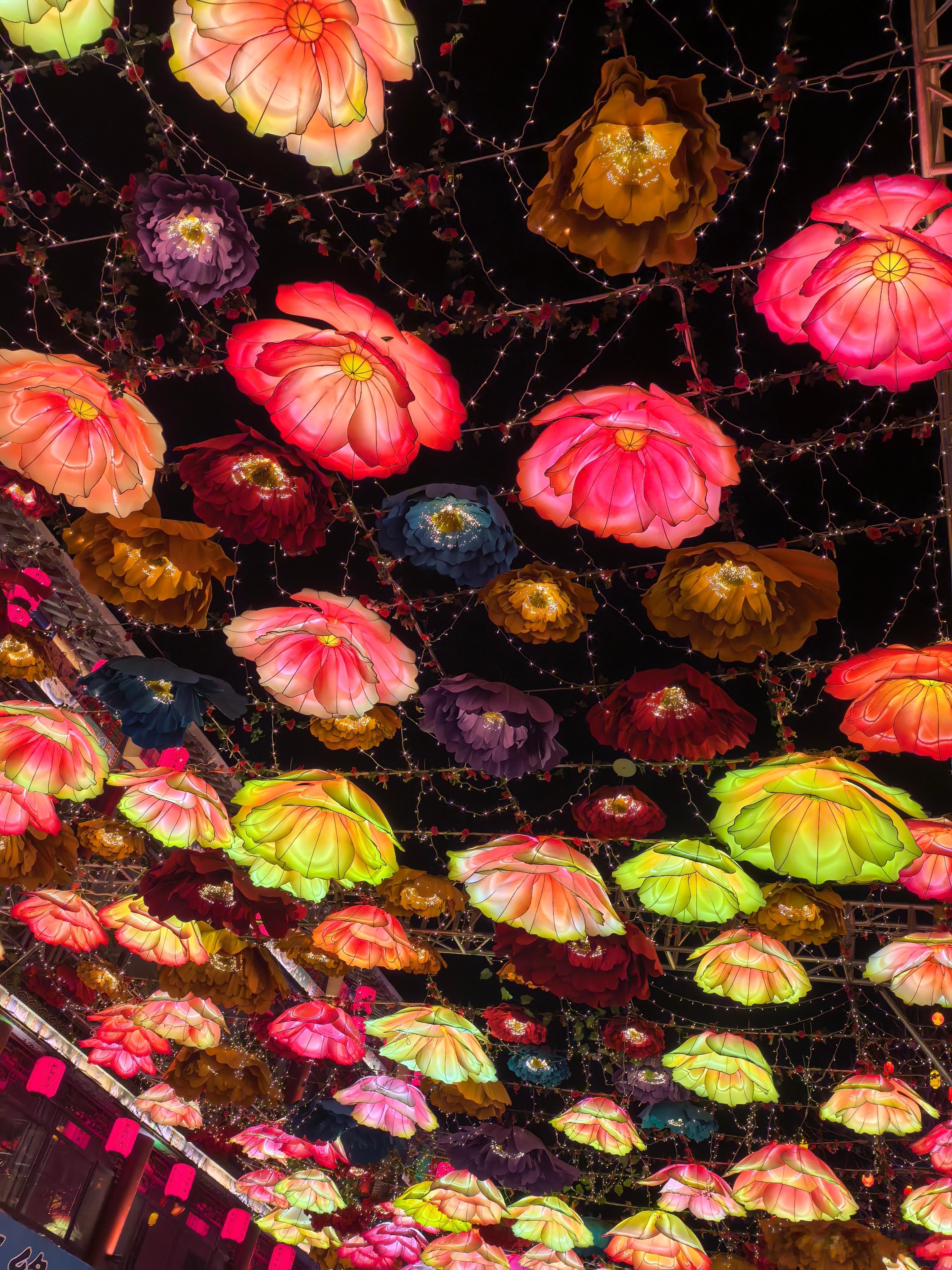 东北老一辈人的眼光还是非常独特的